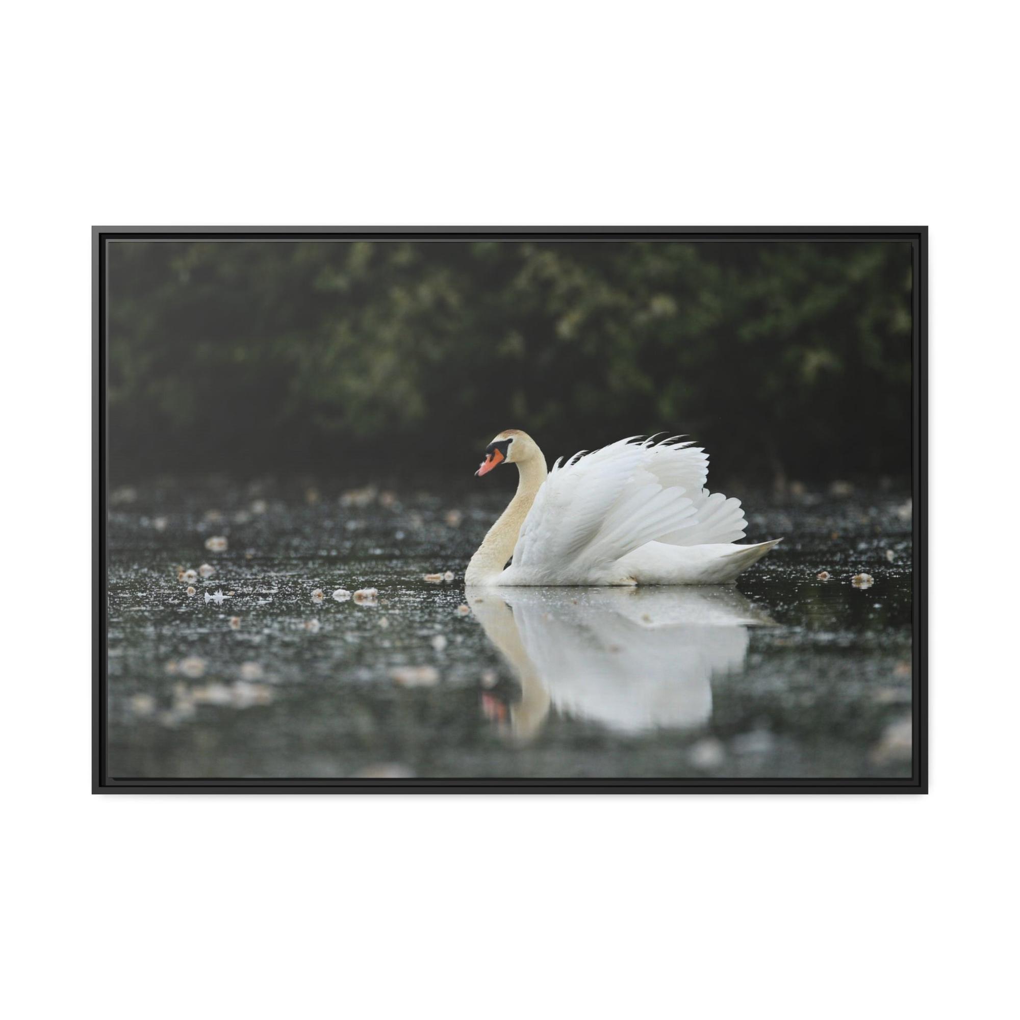 Swans Swan Lake Dreams: Natural Canvas Print of Beautiful Swan in a Dreamy Landscape