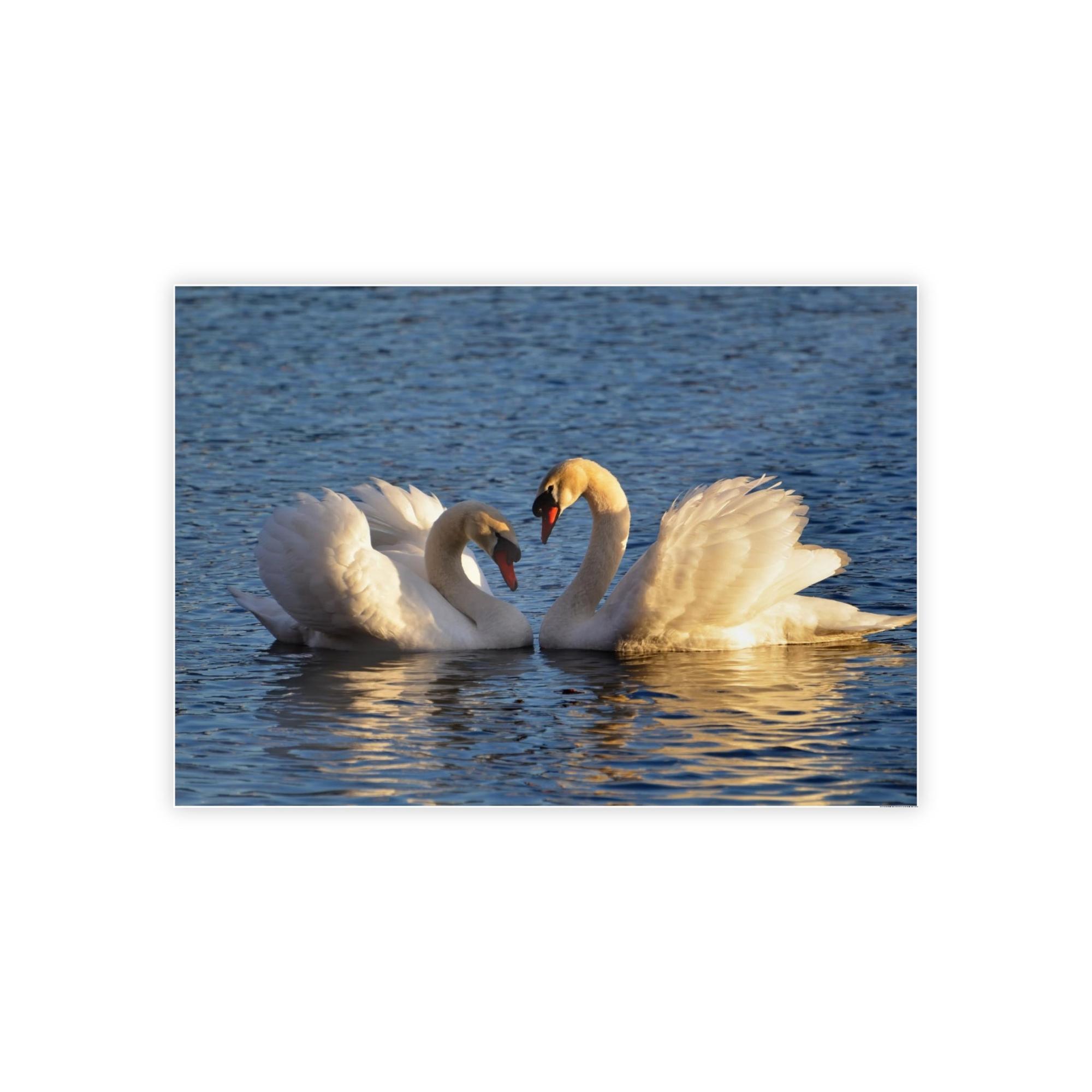 Swans Majestic Beauty: Canvas Wall Art Displaying the Grace and Strength of Swans