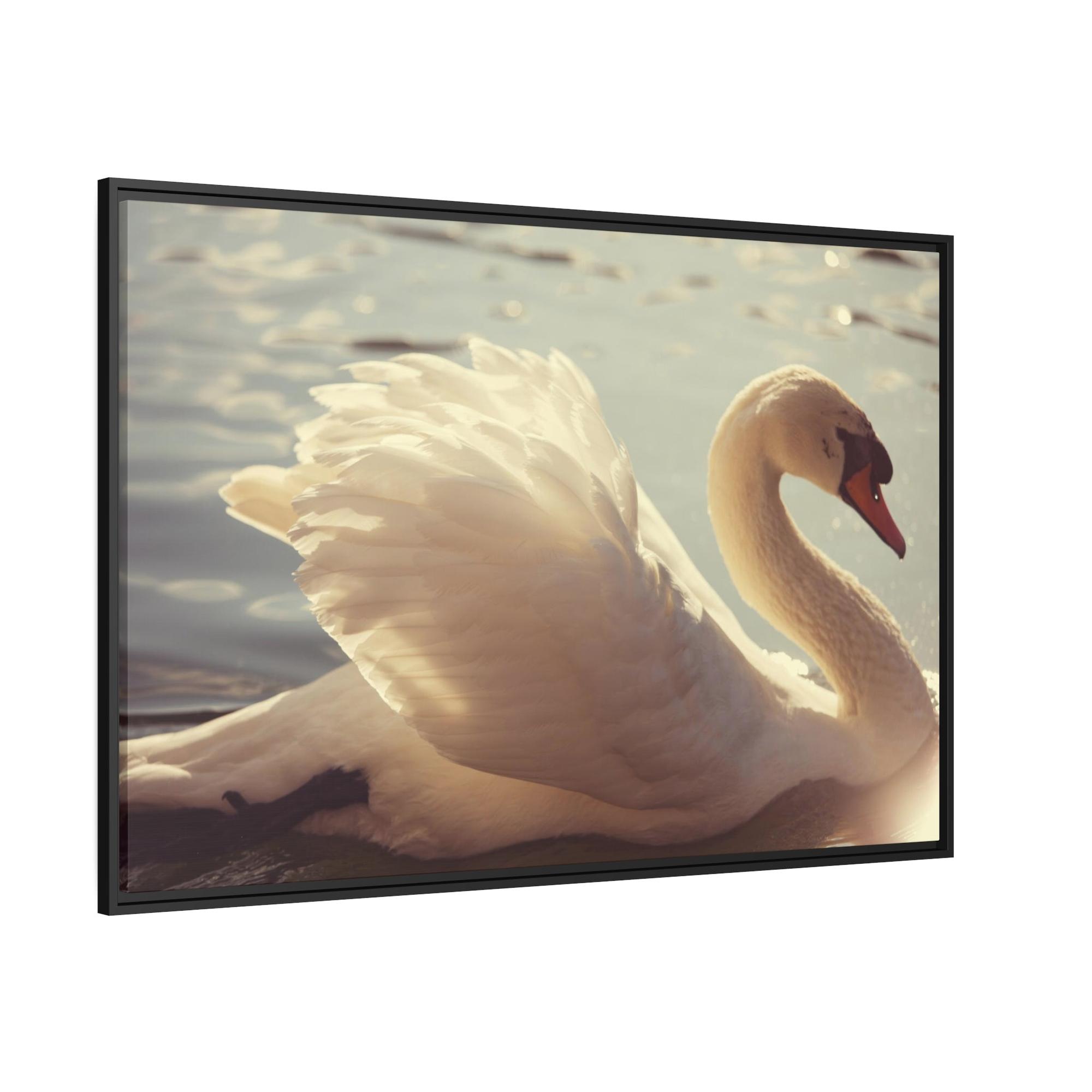 Swans Elegant Grace: Natural Canvas Print Featuring Beautiful Swan