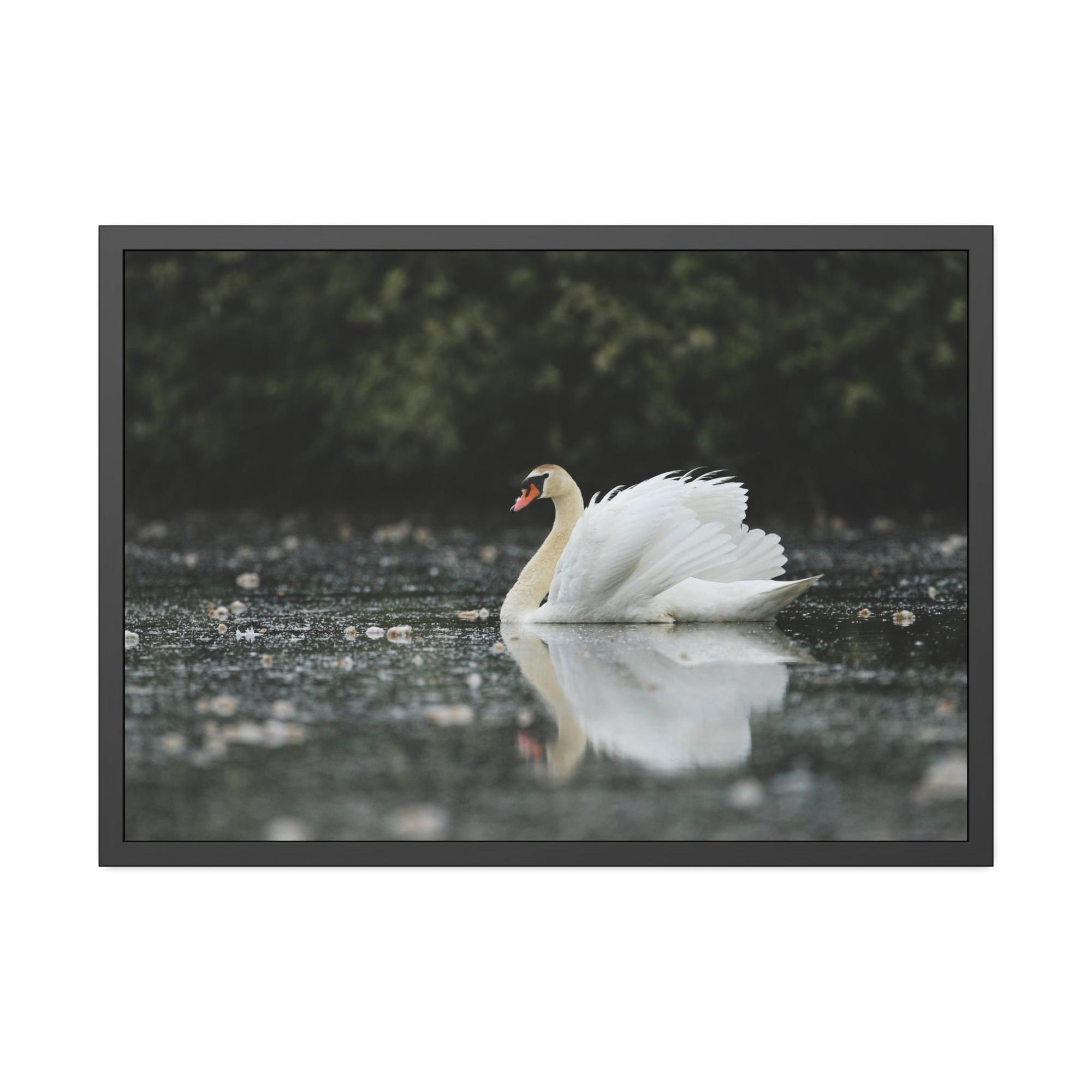 Swans Swan Lake Dreams: Natural Canvas Print of Beautiful Swan in a Dreamy Landscape
