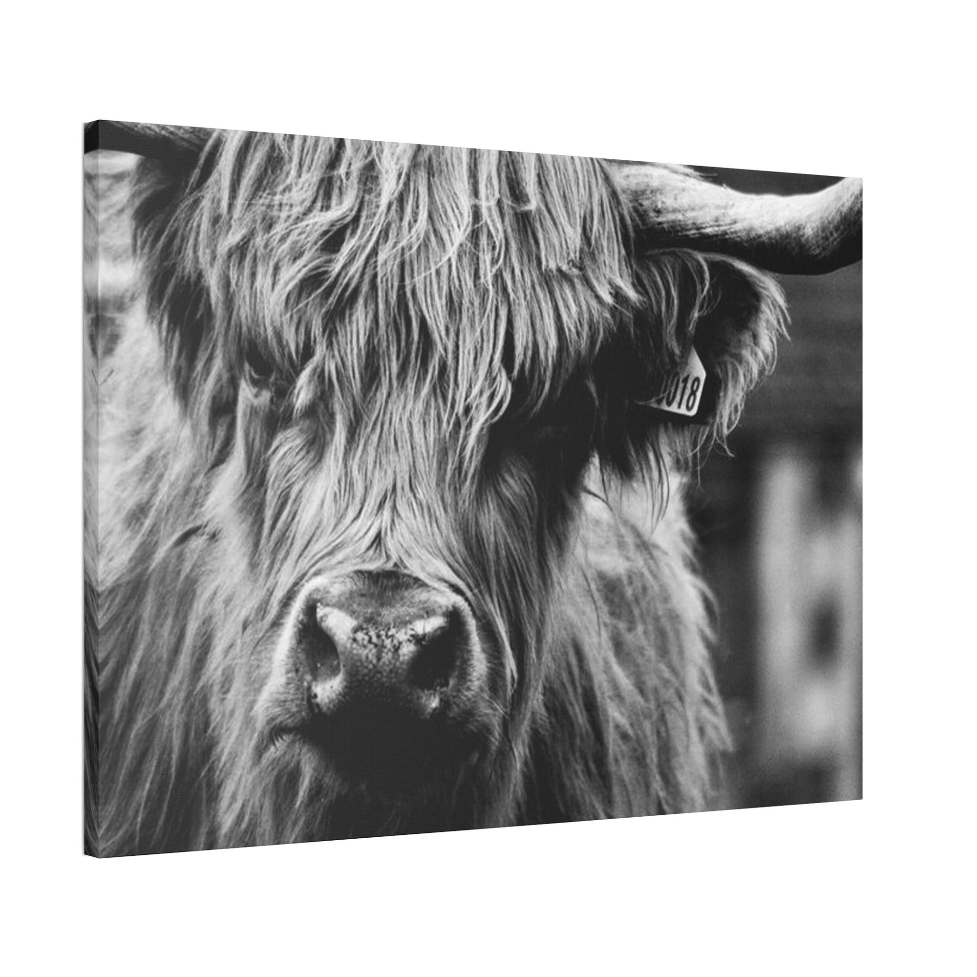 Highland Cow Rustic Highland Cow: Vintage Wall Art