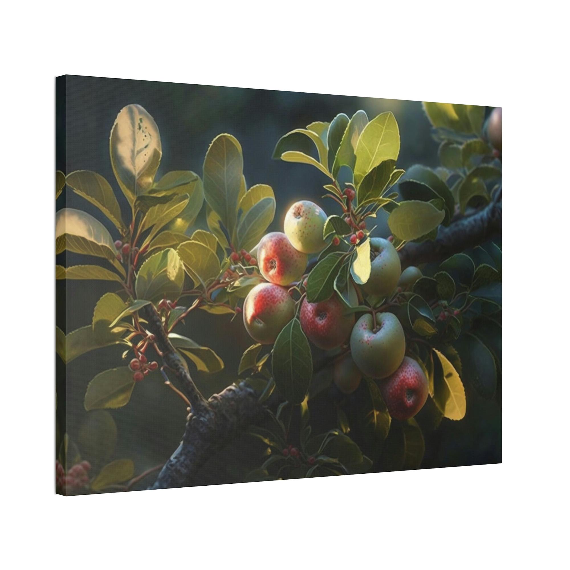 Apple Trees Apple Tree Blossoms: Framed Canvas & Poster Print of Springtime Flowers