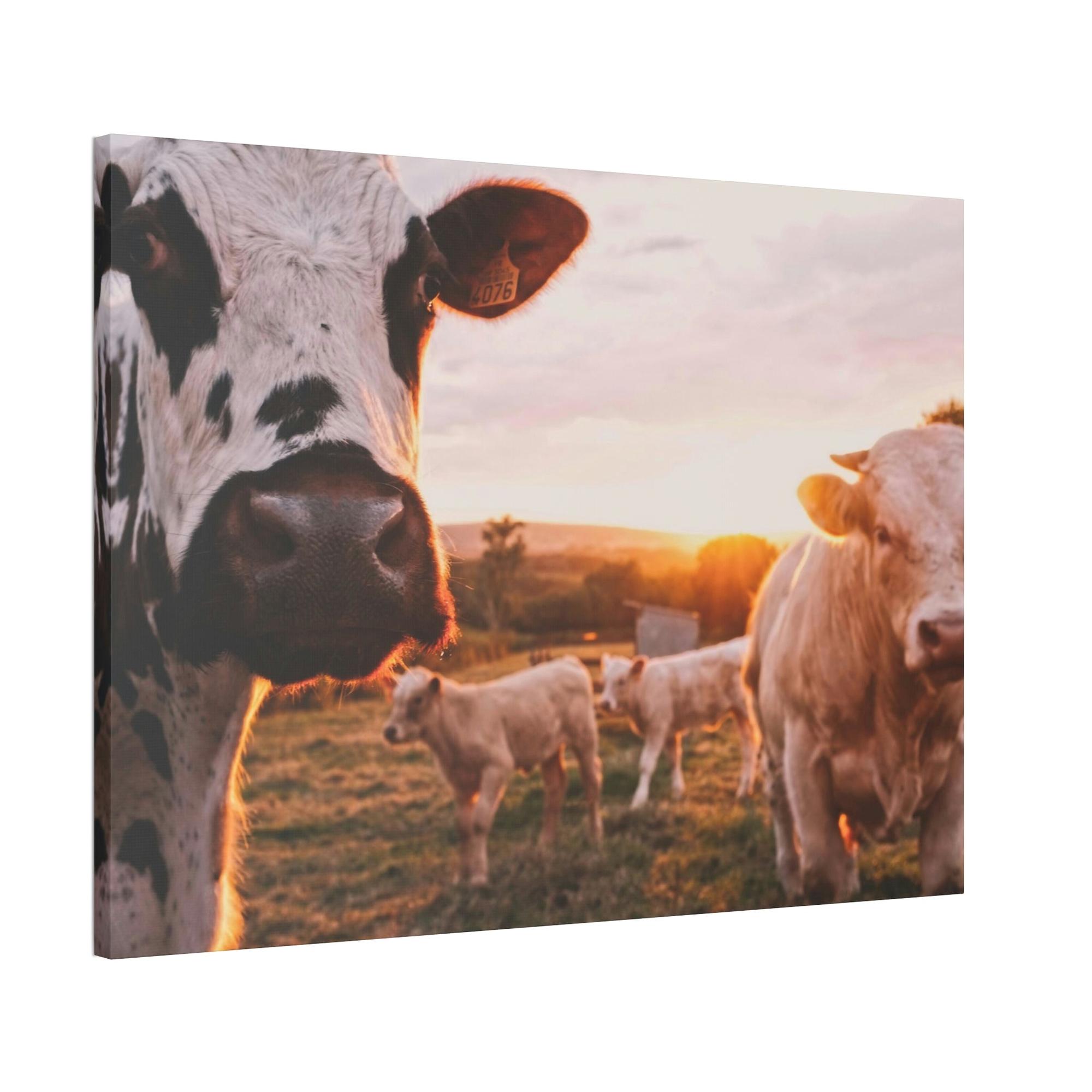 undefined The Grazing Herd: Natural Canvas Print of Cows in the Field