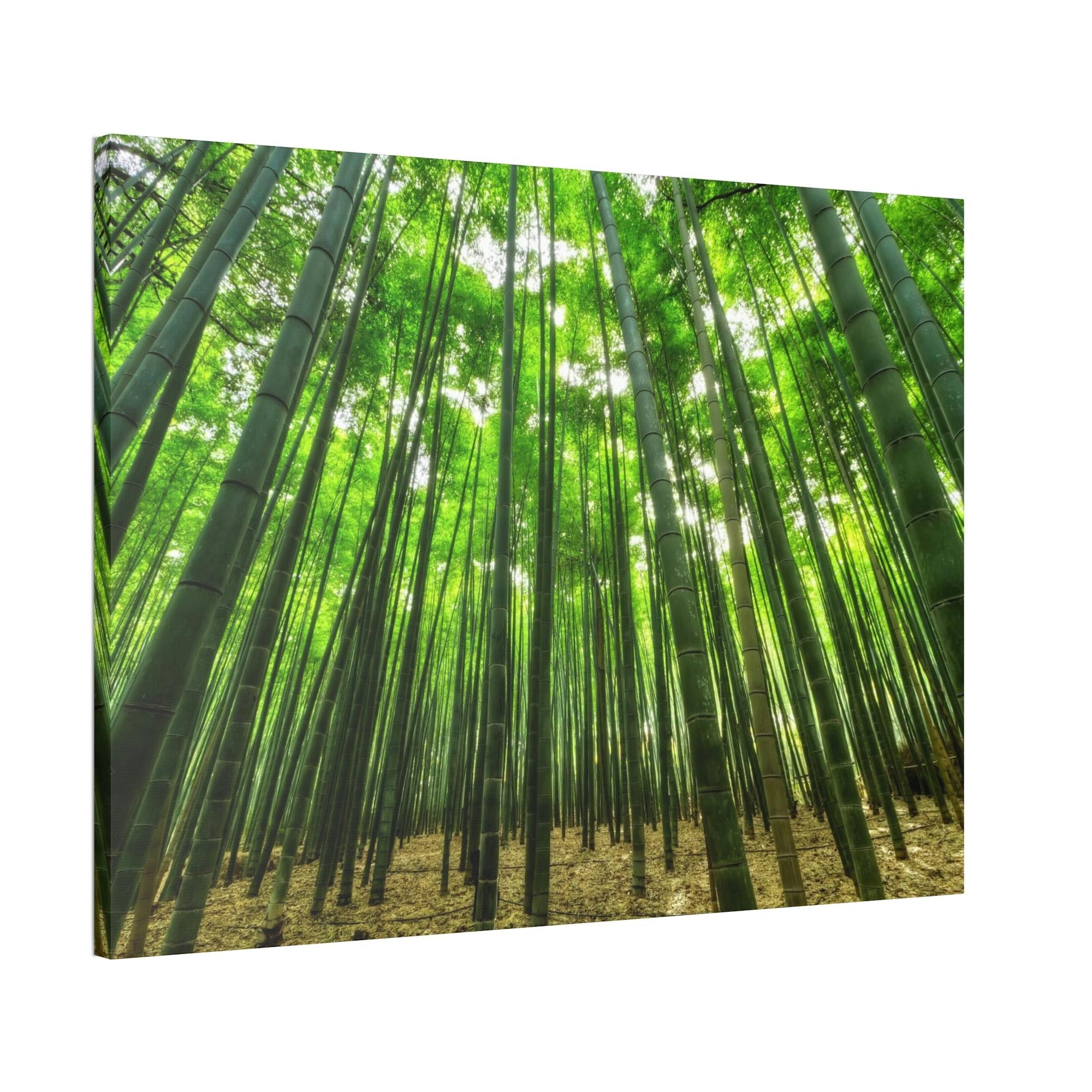undefined Enchanted Forest: Framed Canvas Wall Art of Trees