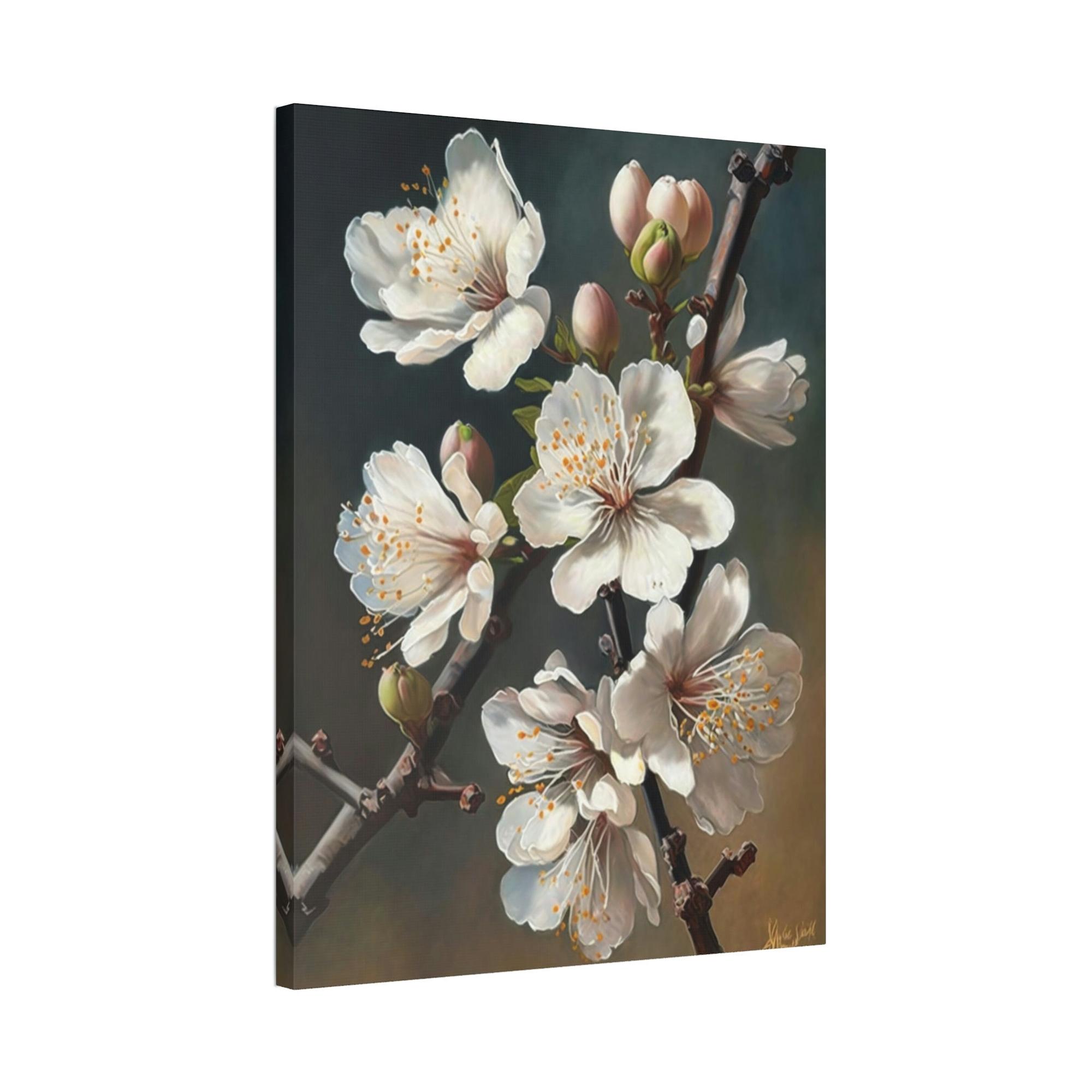 Almond Blossoms The Promise of Spring: Poster & Canvas Print of Blooming Almond Trees