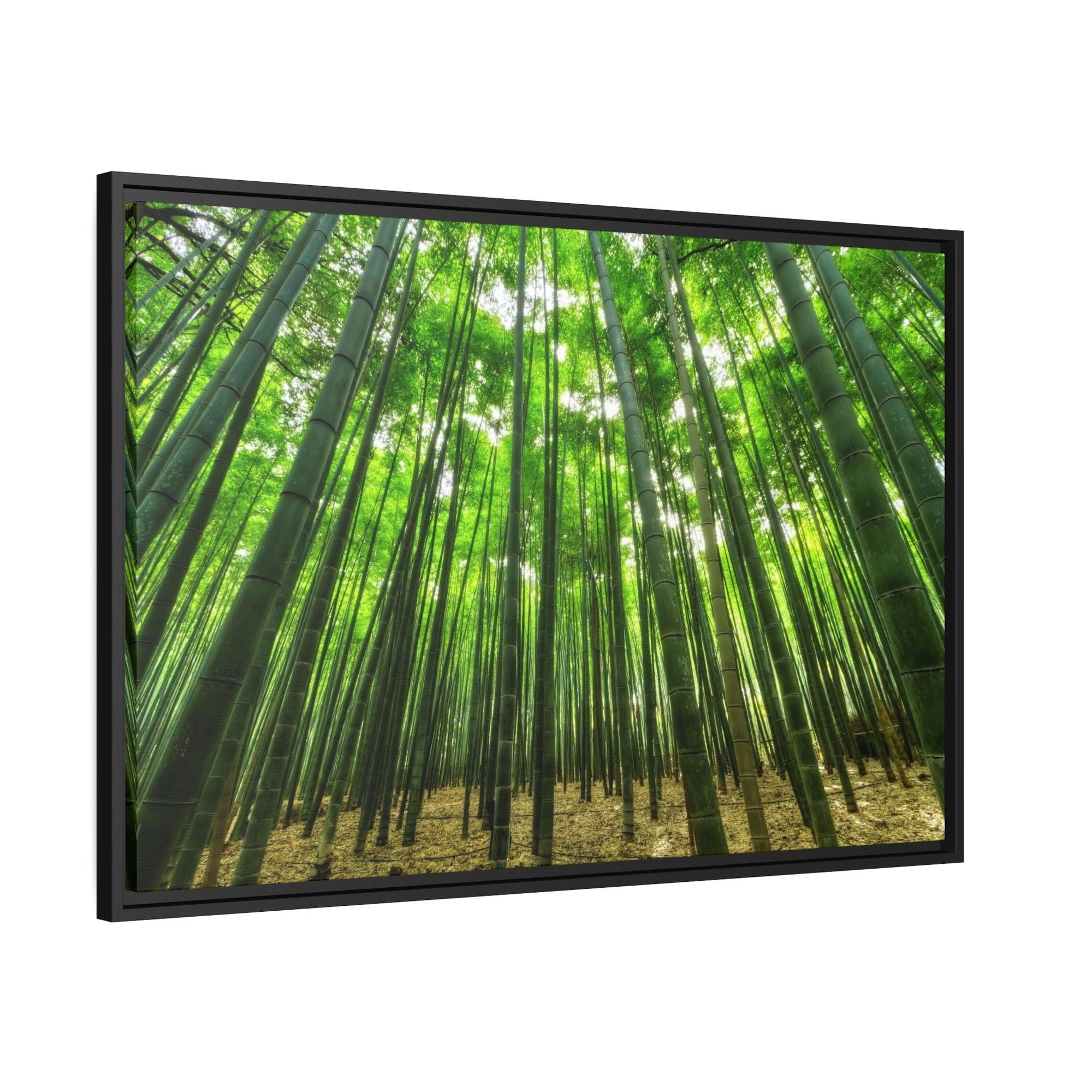 Trees Enchanted Forest: Framed Canvas Wall Art of Trees