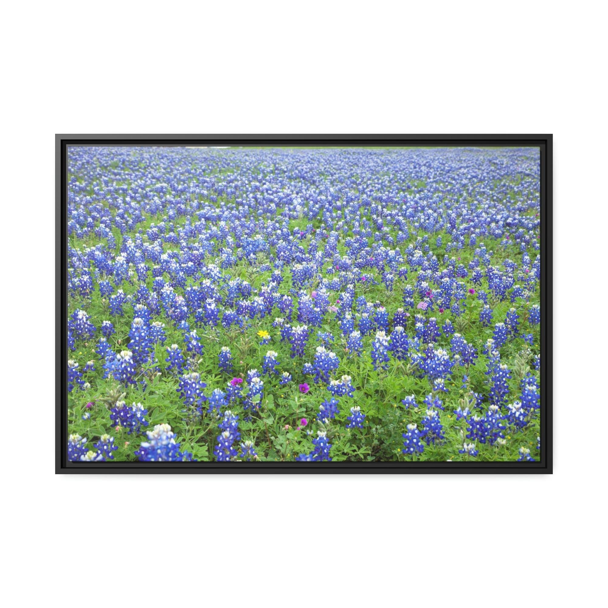 undefined Bluebonnet Garden: Colorful Print on Canvas of a Flower-Filled Landscape