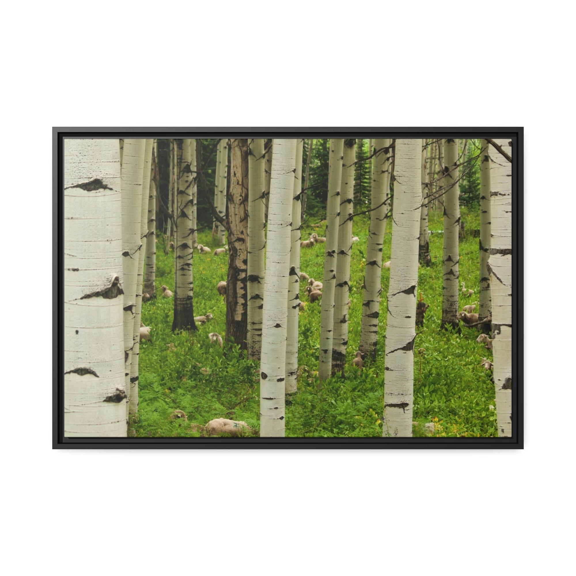 Birch Trees Silent Forest: Framed Poster of Birch Trees with a Tranquil Atmosphere