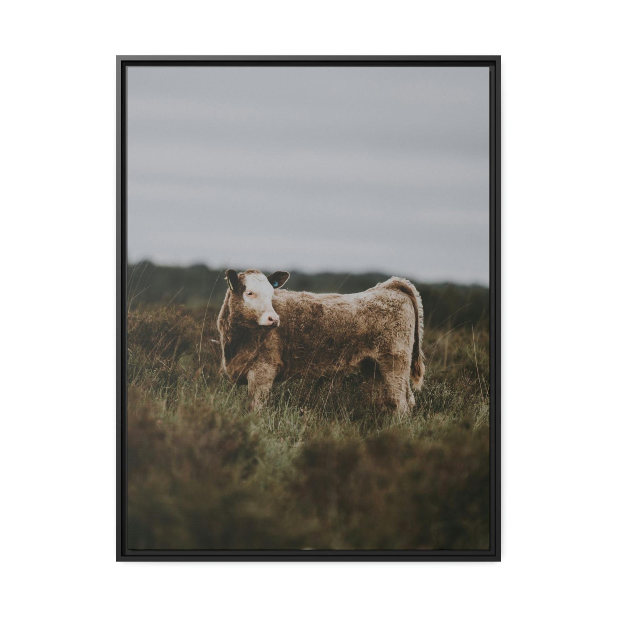Cows Cow Portrait: Wall Art Poster & Canvas of a Beautiful Bovine