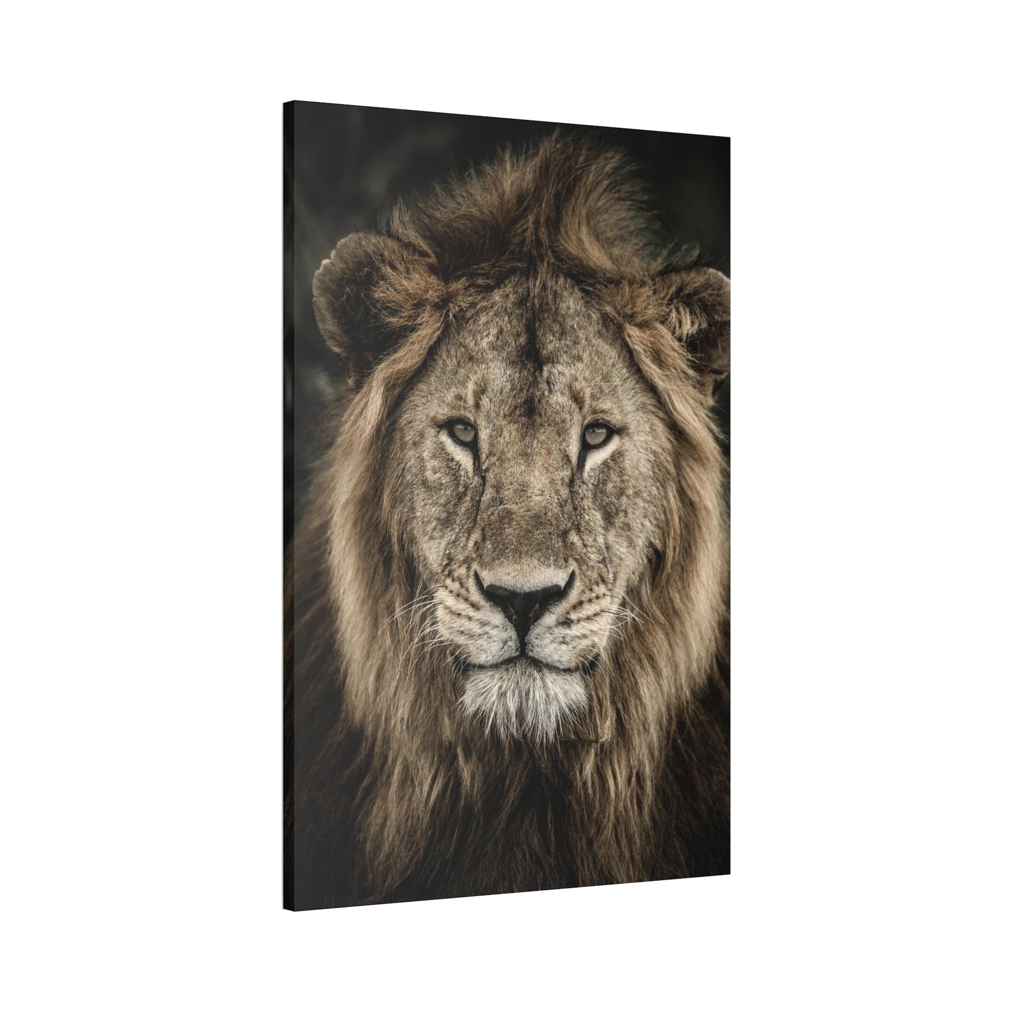 Lions Lion's Strength: Canvas Print of the Fierce Predator in Action
