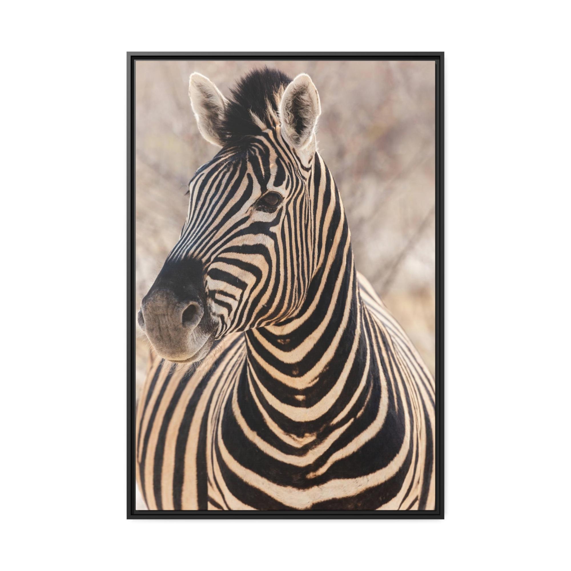 Zebras Zebras in the Wild: Stunning Print on Framed Canvas