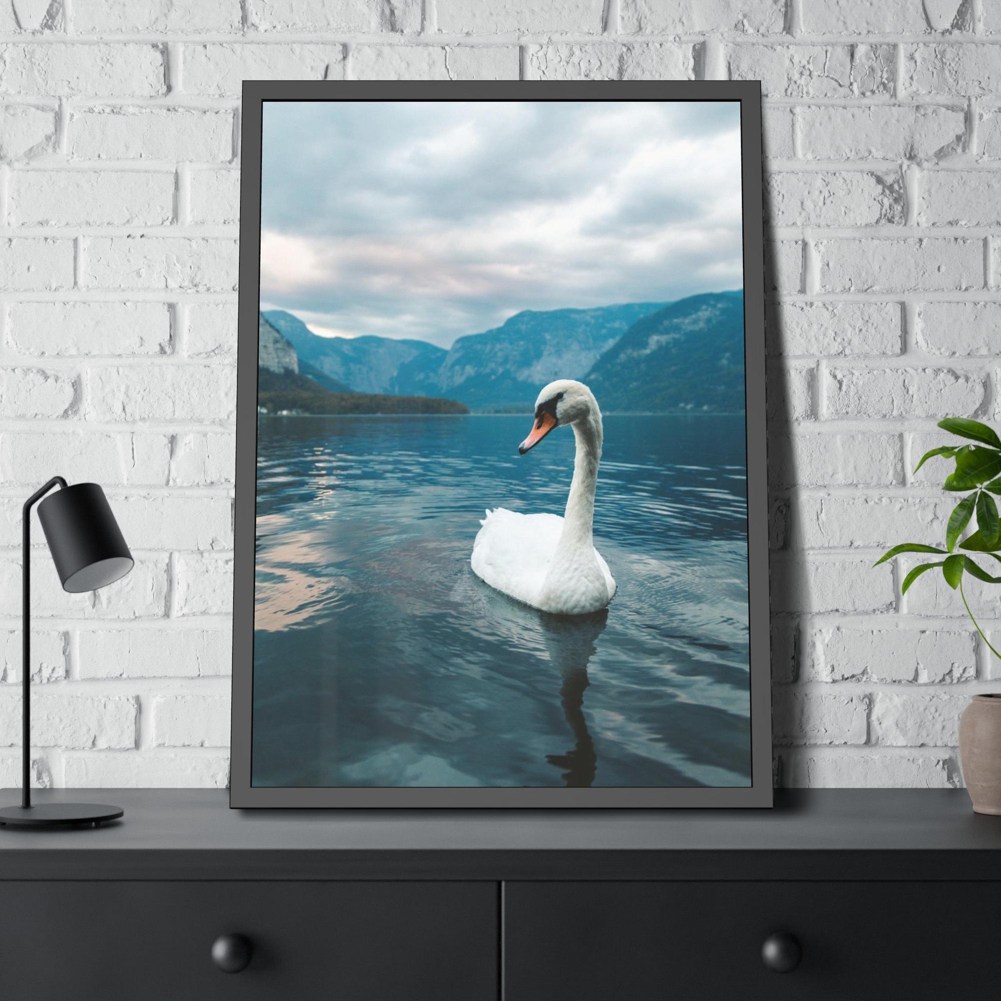 Swans Elegance on the Water: Framed Poster and Print on Canvas Celebrating the Grace of Swan
