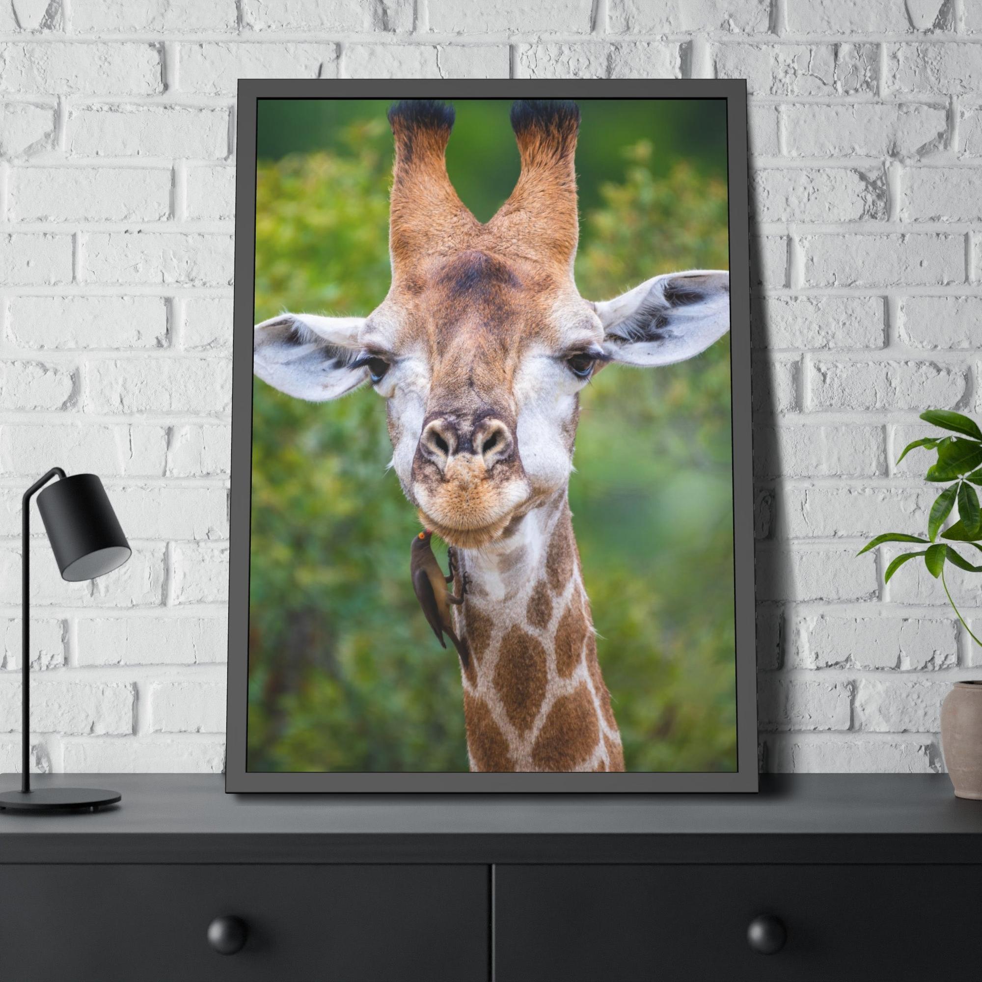 Giraffes Nature's Masterpiece: A Gorgeous Giraffe on Canvas & Poster