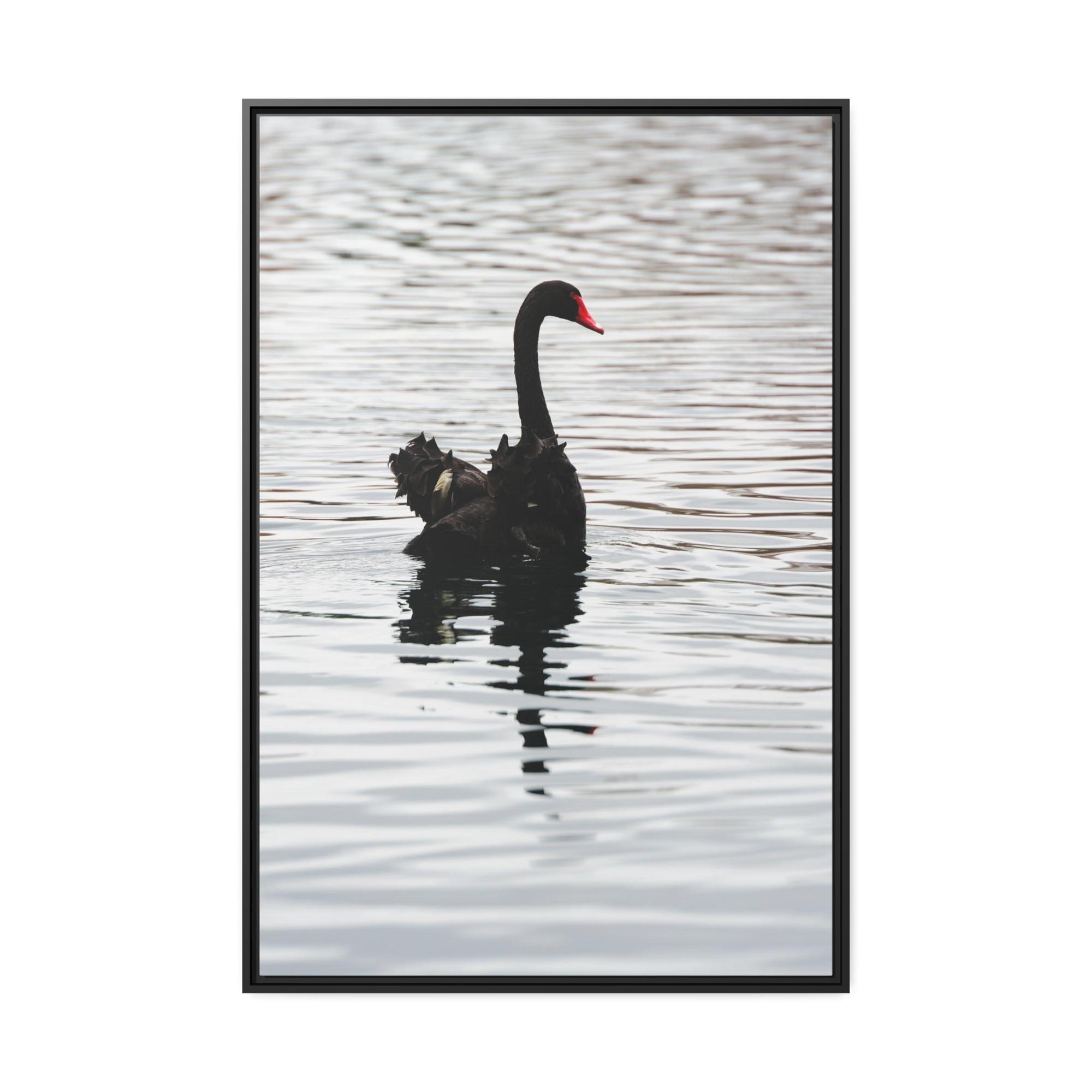 Swans Elegance and Serenity: Poster and Canvas Art Celebrating the Poise and Calmness of Swan