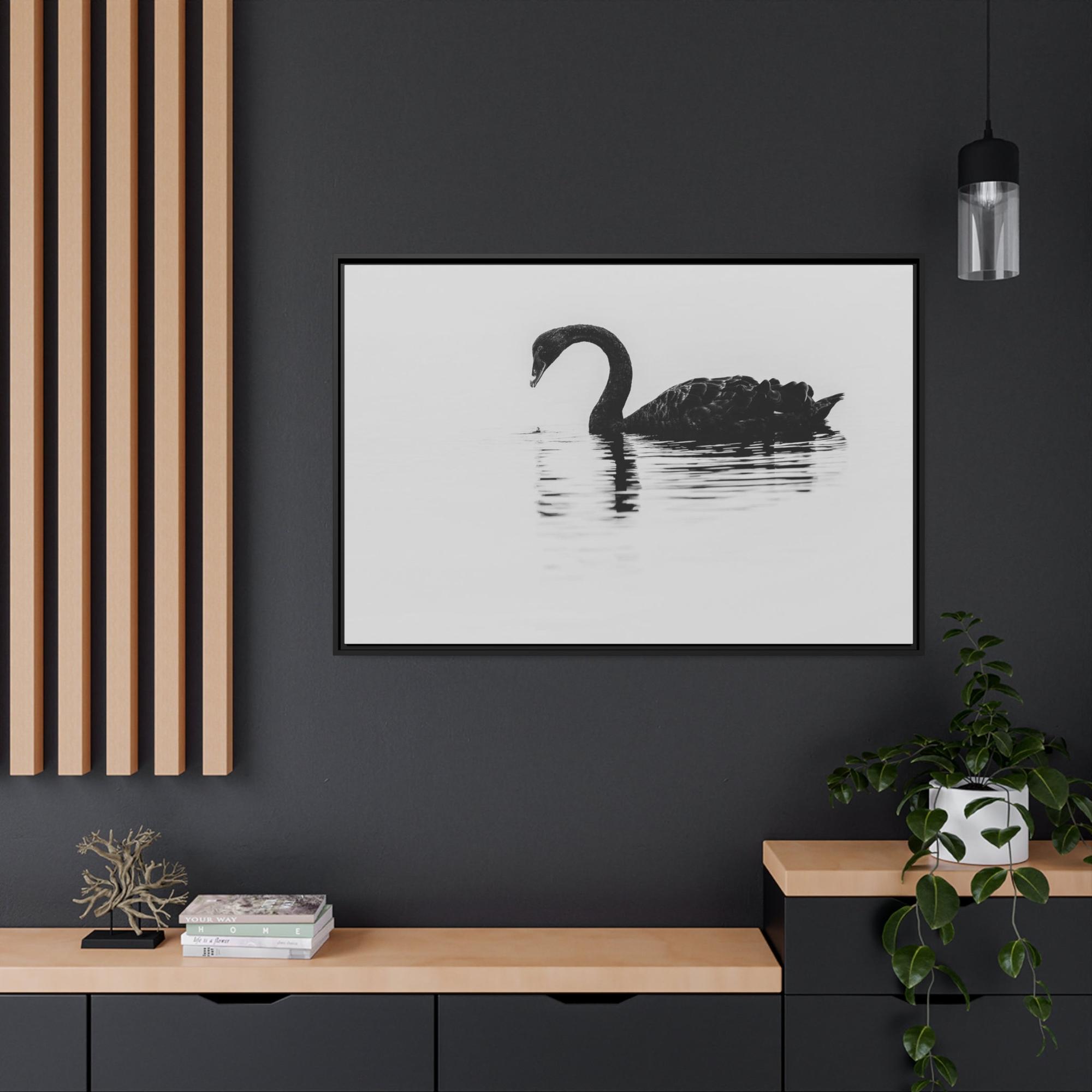 Swans The Swan Princess: Natural Canvas Print of a Beautiful Swan