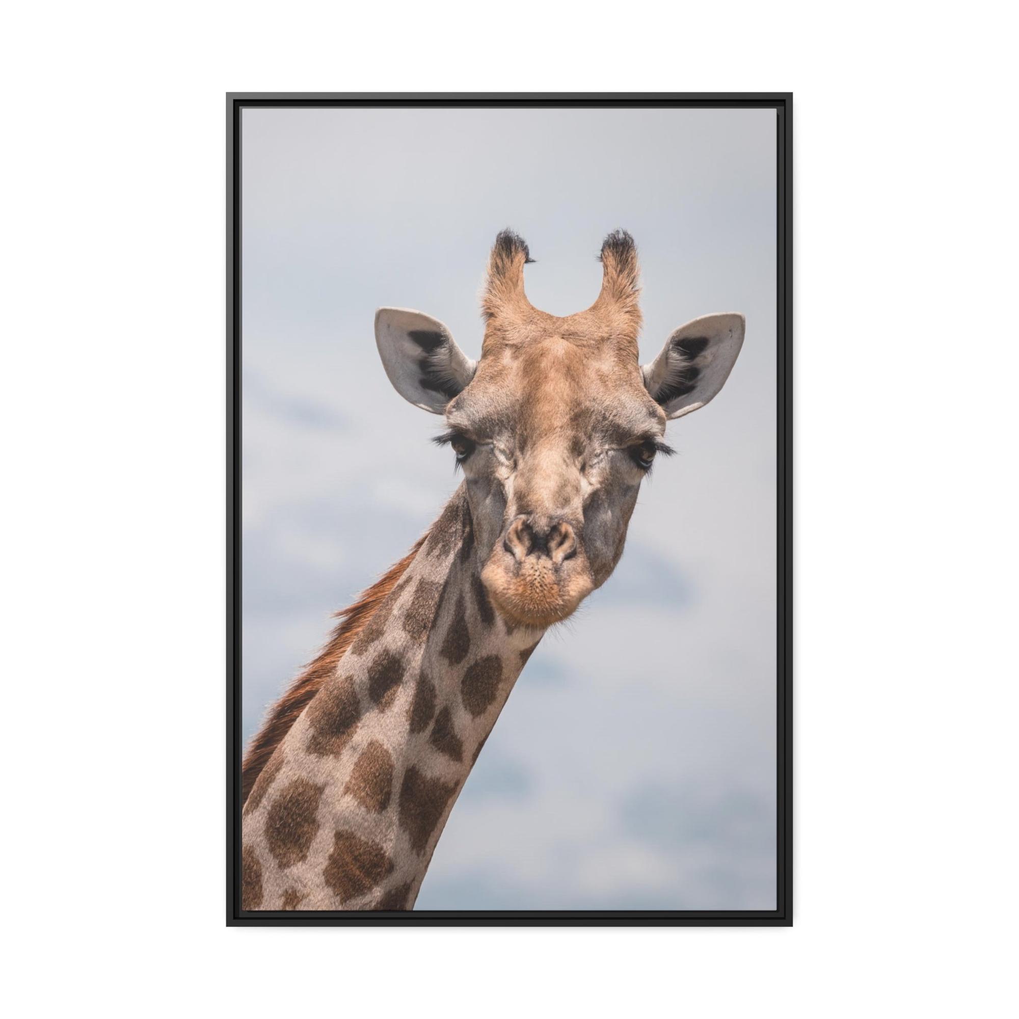 Giraffes Captivating Creature: A Stunning Giraffe on Canvas & Poster