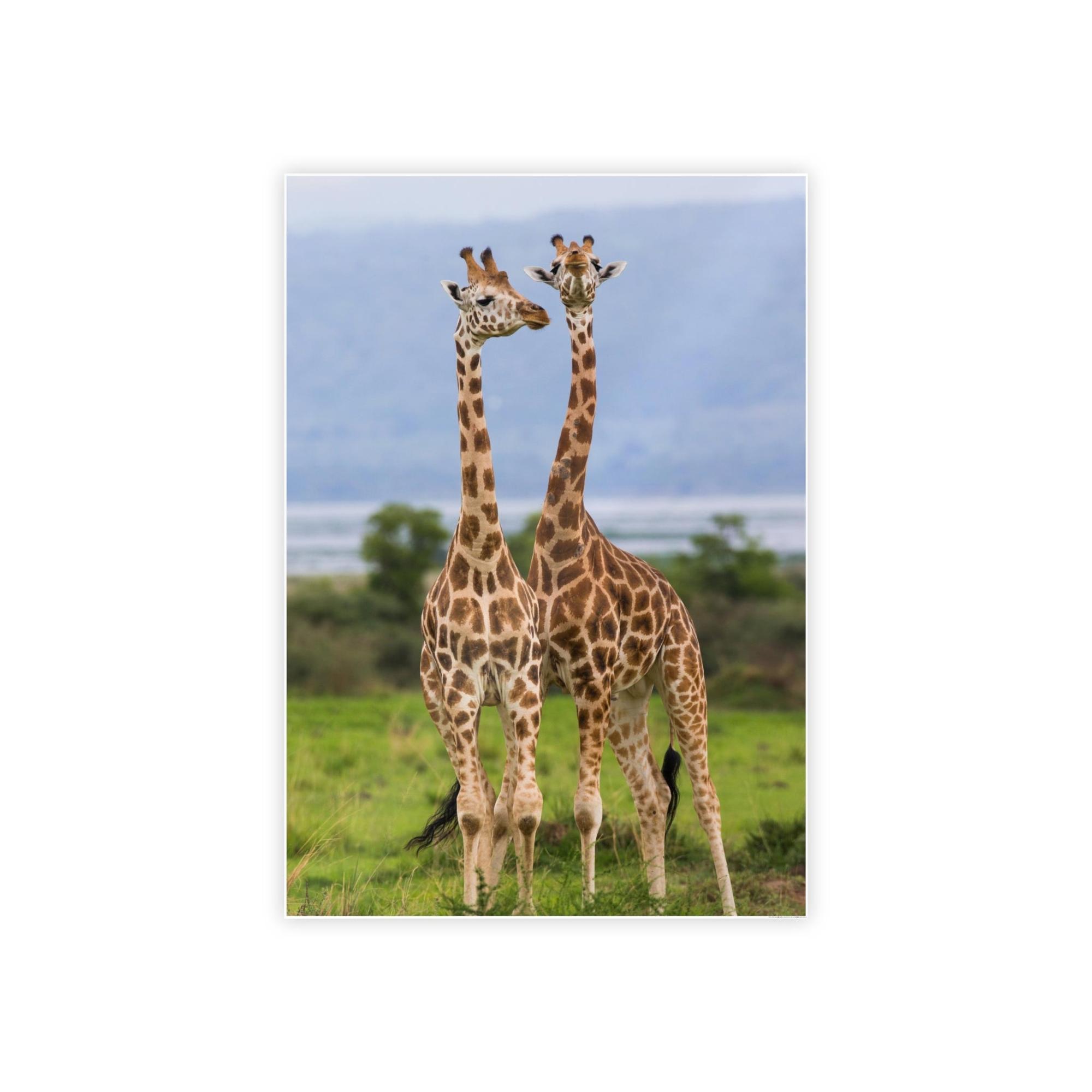 Giraffes Giraffed in Motion: A Stunning Artistic Interpretation on Canvas & Poster