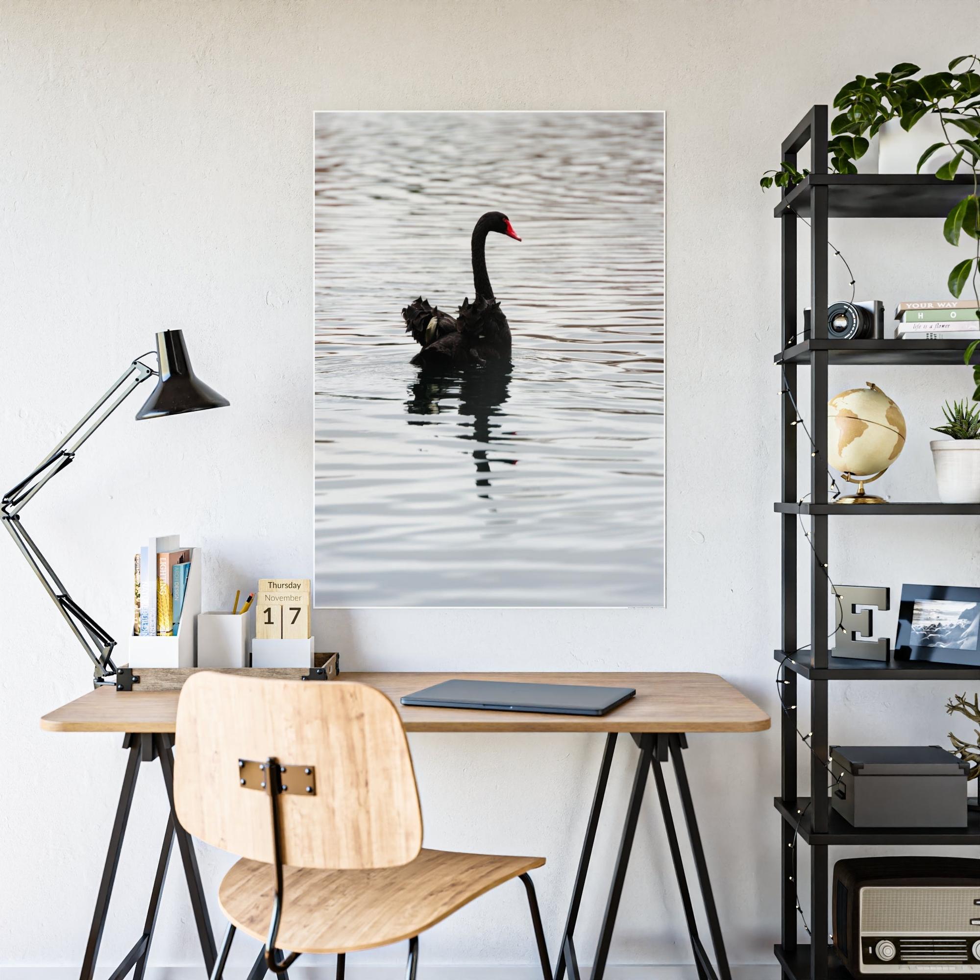 Swans Elegance and Serenity: Poster and Canvas Art Celebrating the Poise and Calmness of Swan