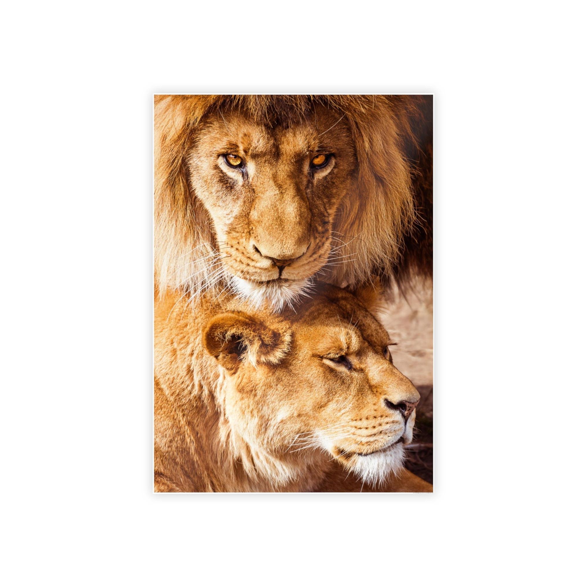 Lions African Royalty: Wall Art of a Magnificent Lion on Natural Canvas