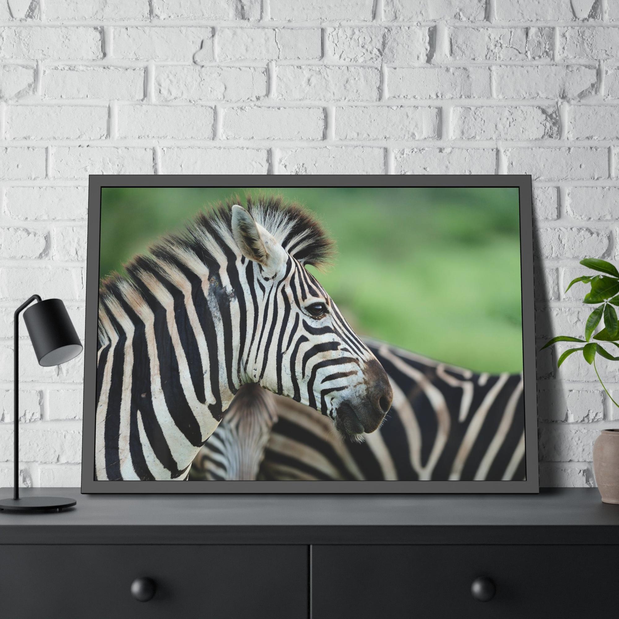 Zebras In the Wild: Zebra Canvas & Poster Print for a Natural Look