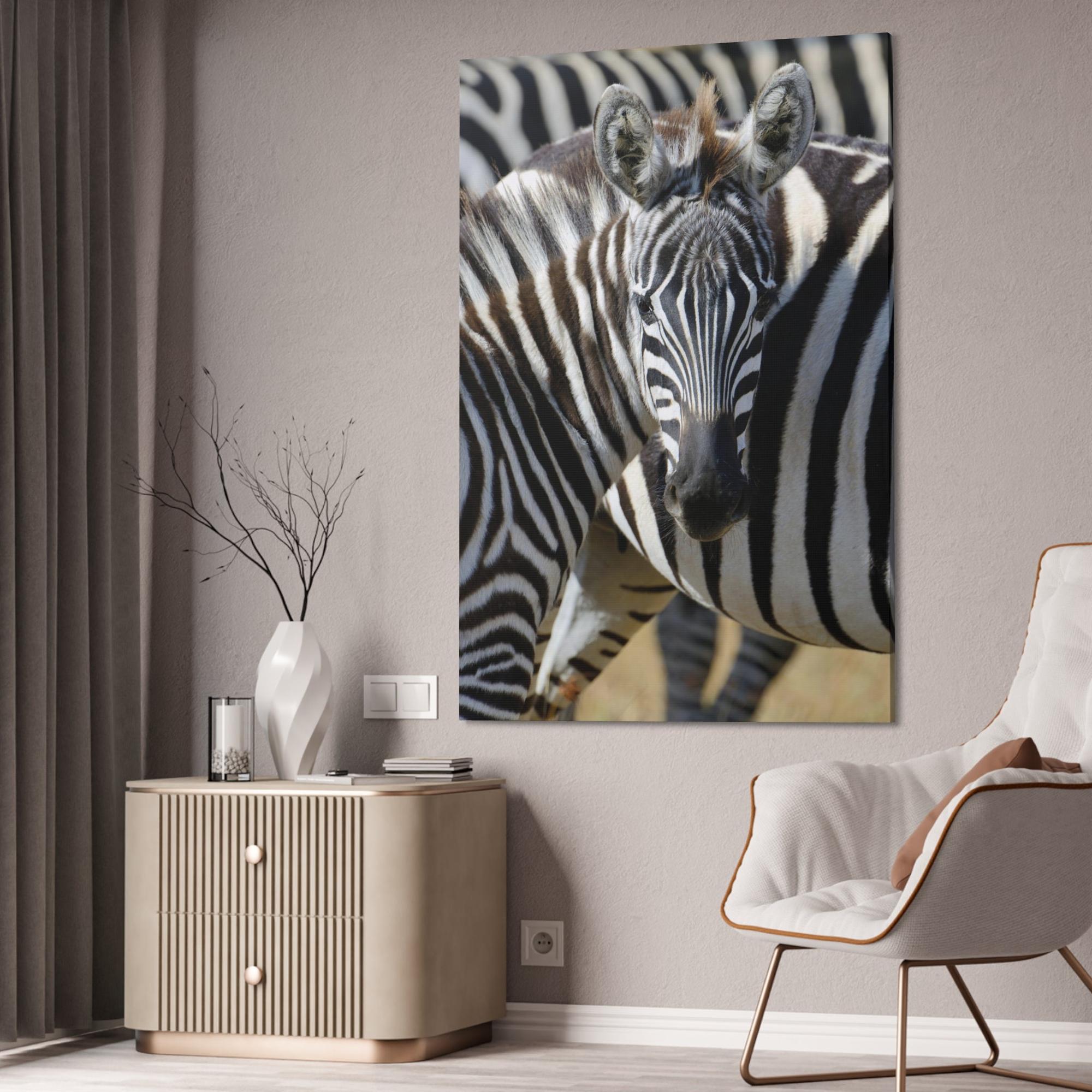 Zebras Grazing in the Grasslands: Natural Canvas Print of a Zebra in its Natural Habitat