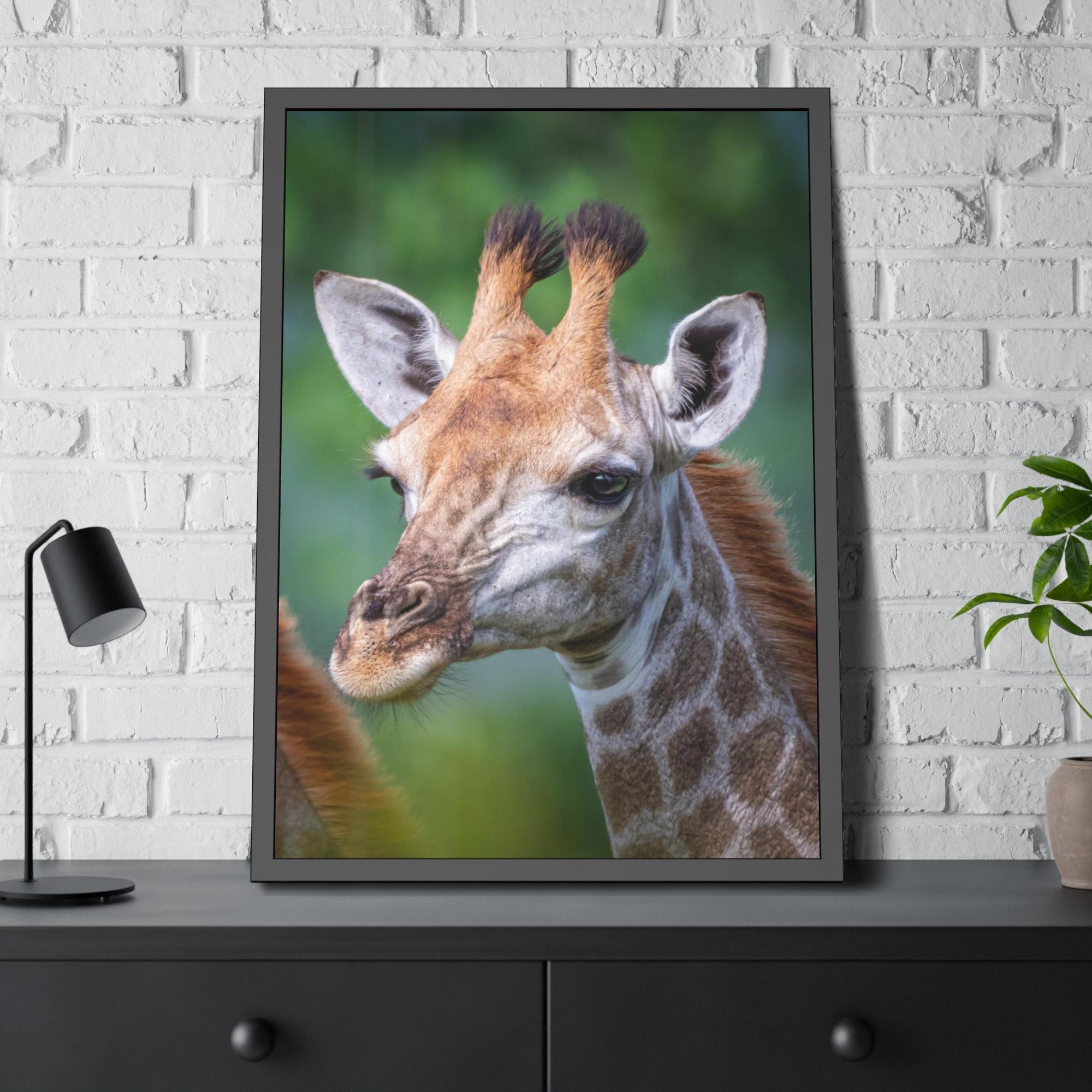 Giraffes Regal Beauty: A High-Quality Canvas Print of a Giraffe's Elegance