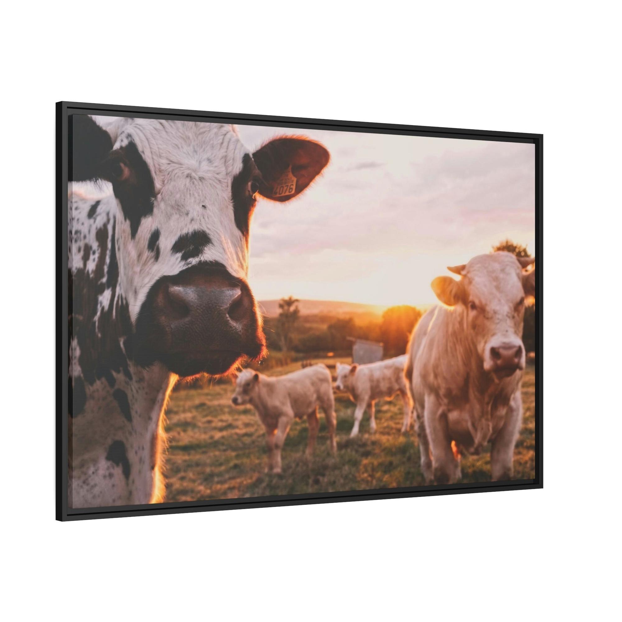 Cows The Grazing Herd: Natural Canvas Print of Cows in the Field