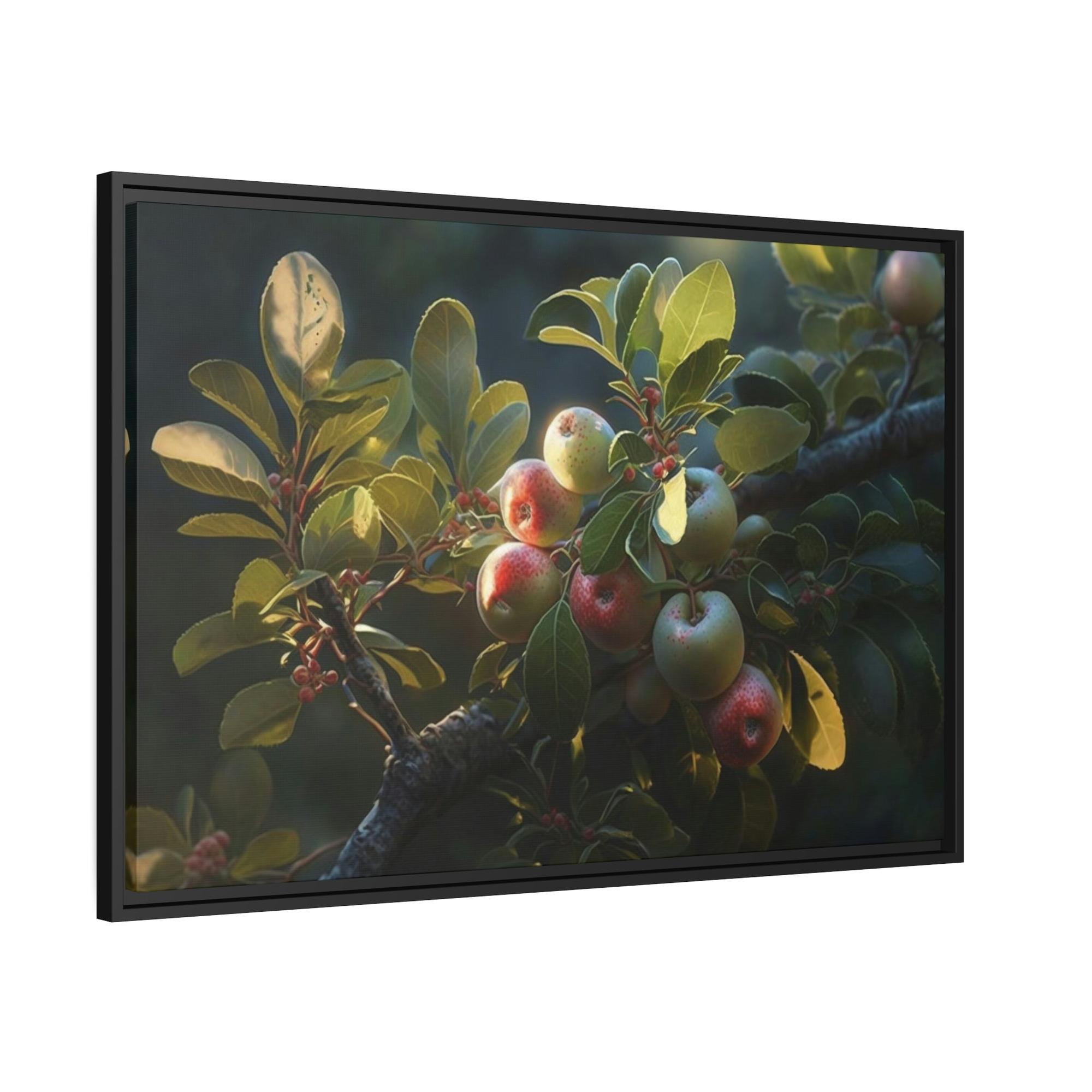Apple Trees Apple Tree Blossoms: Framed Canvas & Poster Print of Springtime Flowers