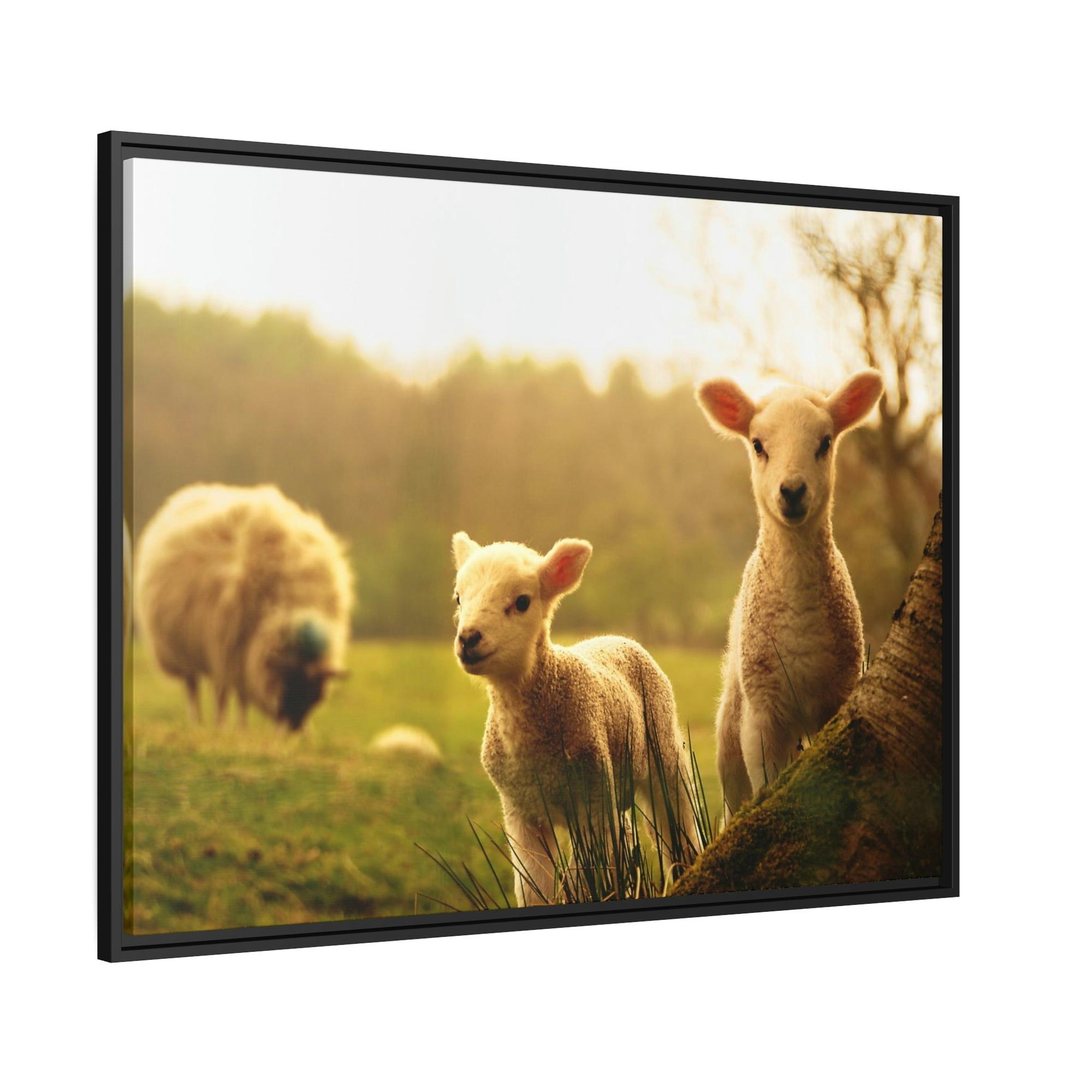 Sheeps Rustic Charm: Framed Poster & Canvas of Sheep Grazing