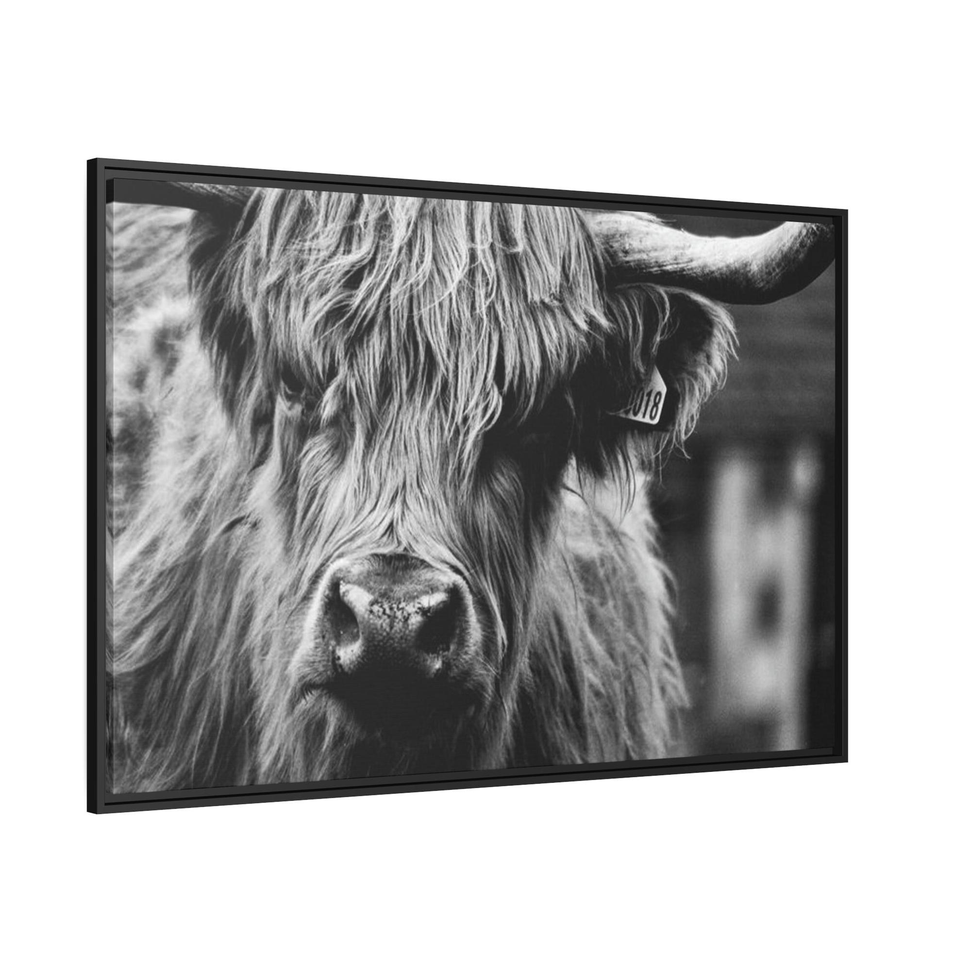 Highland Cow Rustic Highland Cow: Vintage Wall Art