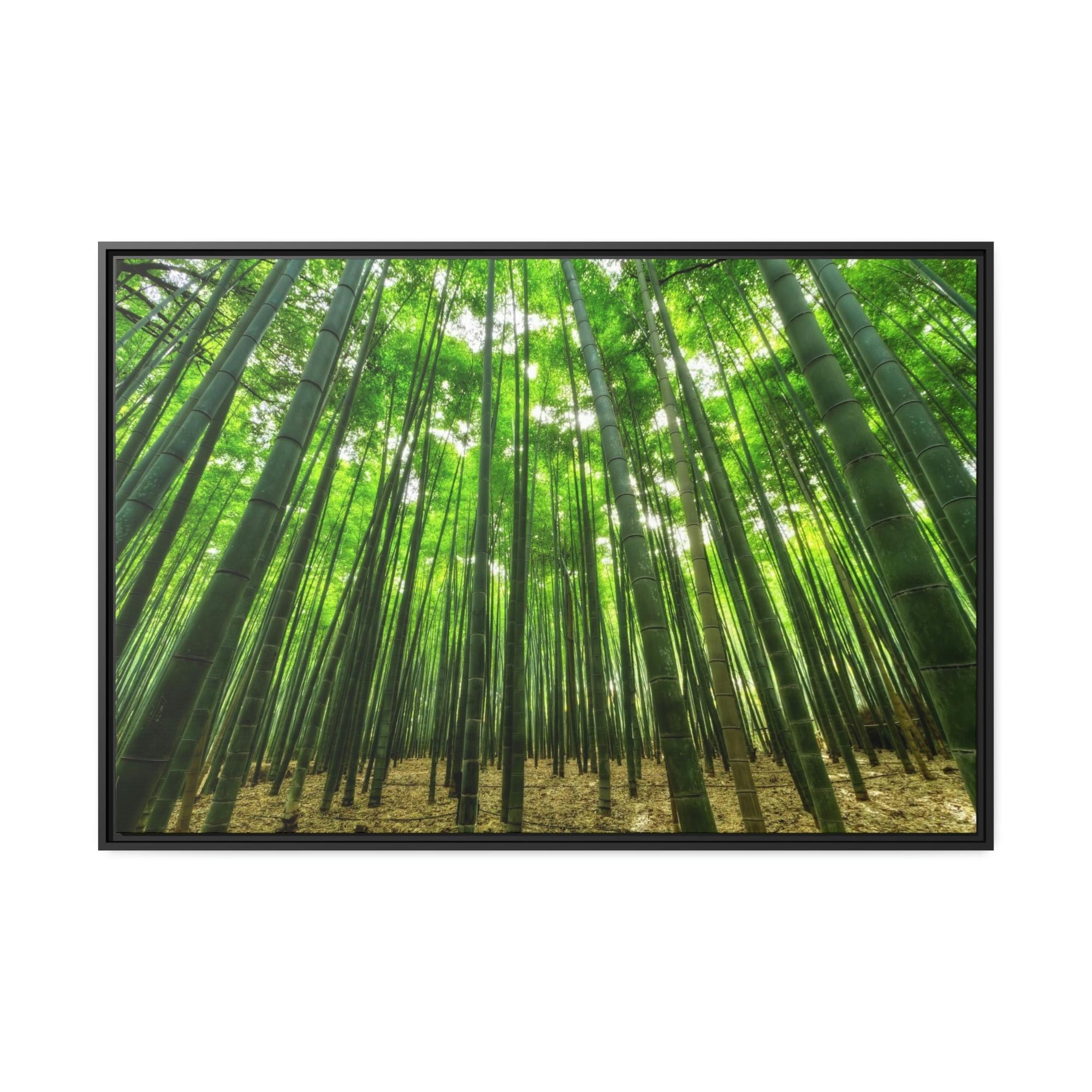 Trees Enchanted Forest: Framed Canvas Wall Art of Trees