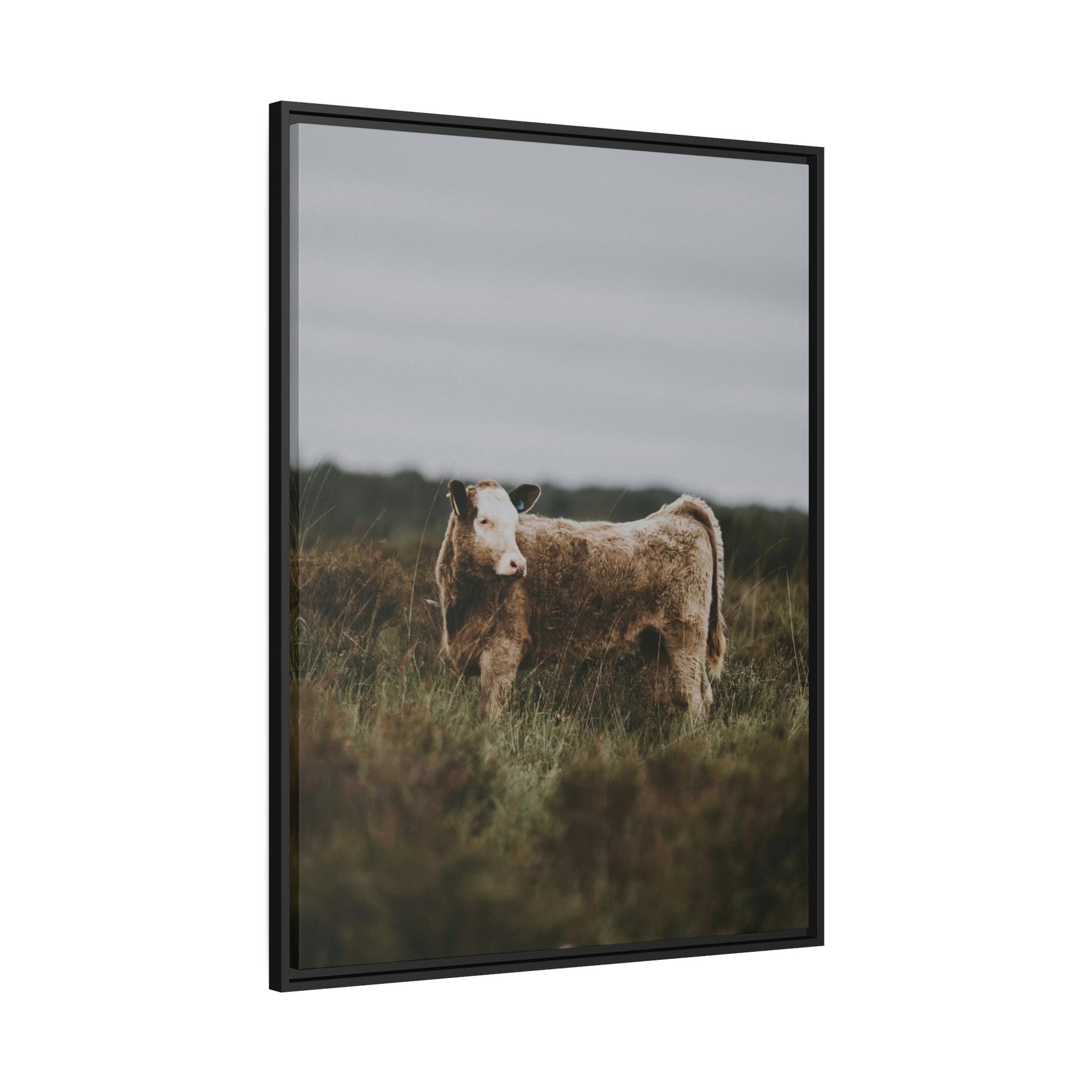 undefined Cow Portrait: Wall Art Poster & Canvas of a Beautiful Bovine