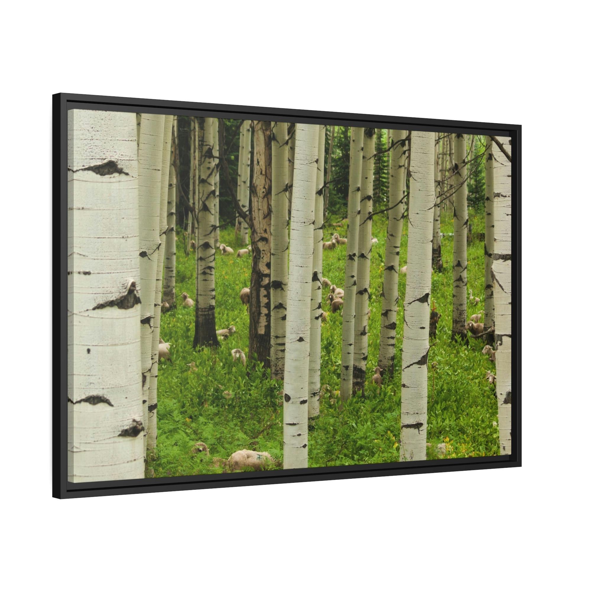 undefined Silent Forest: Framed Poster of Birch Trees with a Tranquil Atmosphere