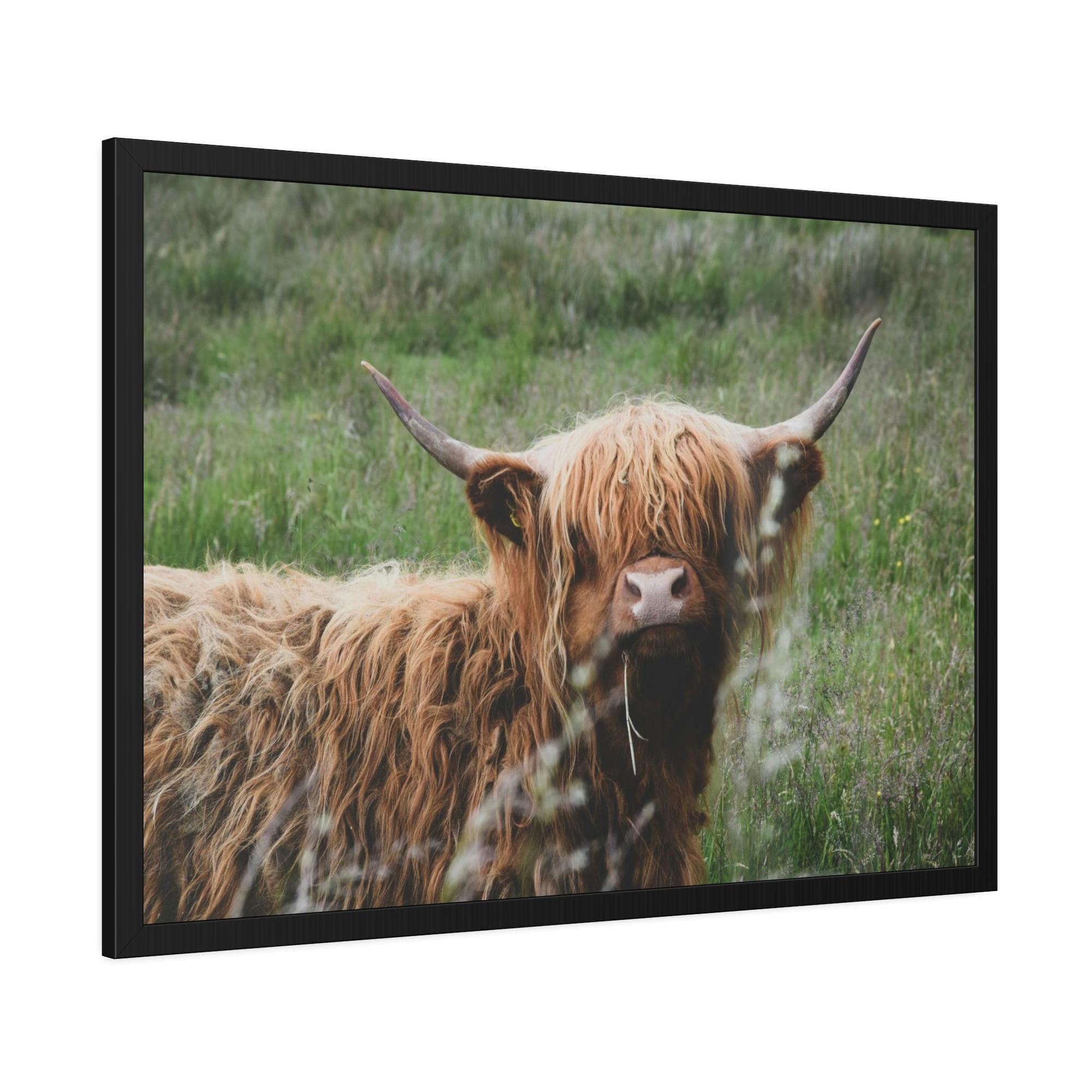 Highland Cow Highland Cow Calf: Adorable Wall Art on Natural Canvas