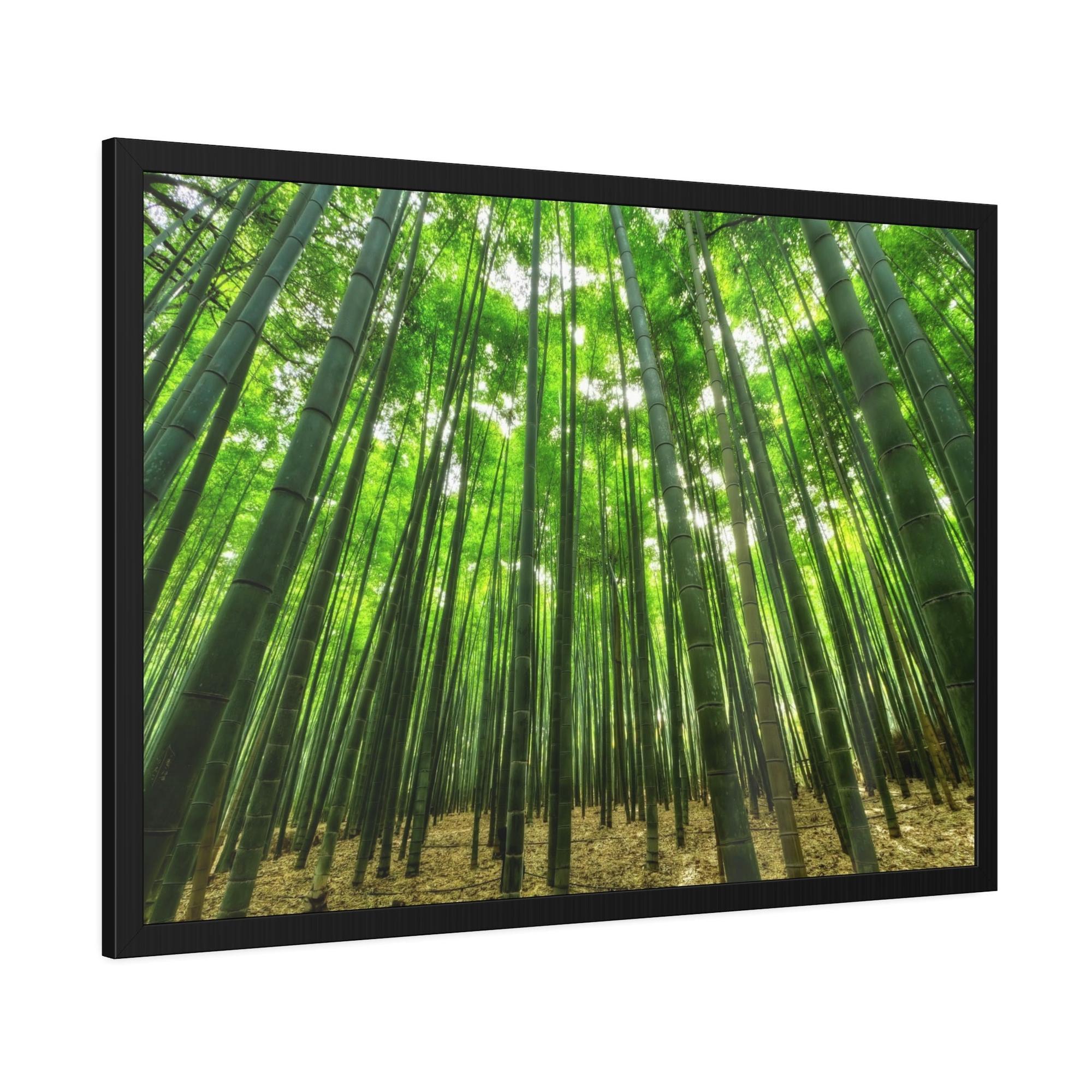 Trees Enchanted Forest: Framed Canvas Wall Art of Trees