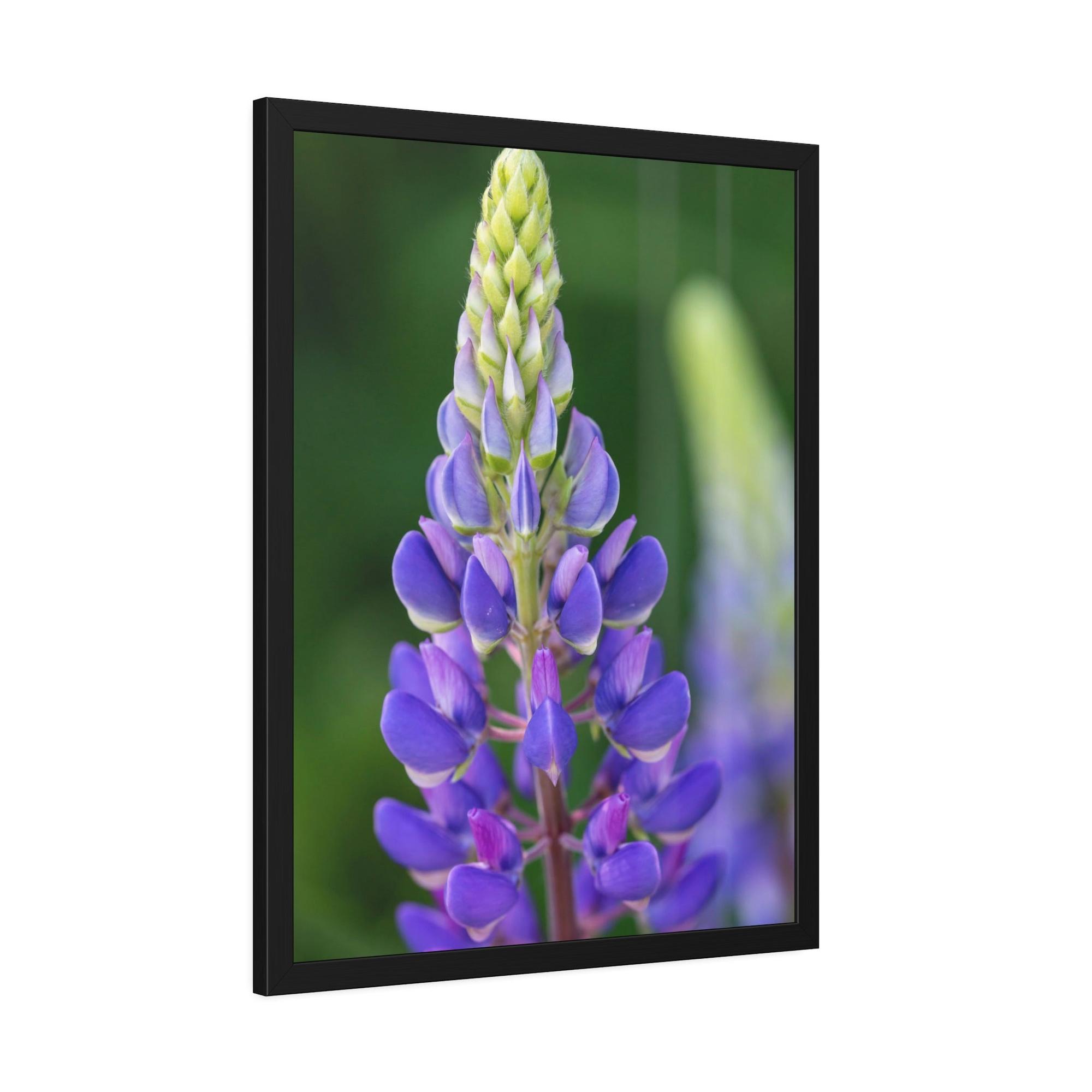 undefined Bluebonnet Garden: Framed Canvas and Print with Stunning Botanical Art