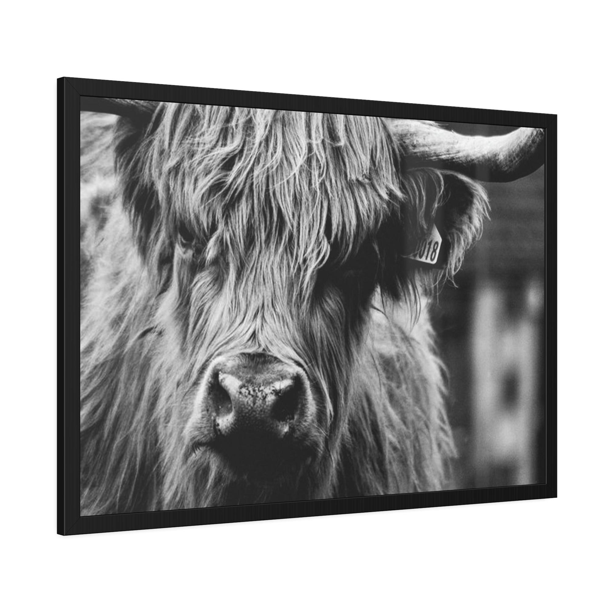 Highland Cow Rustic Highland Cow: Vintage Wall Art
