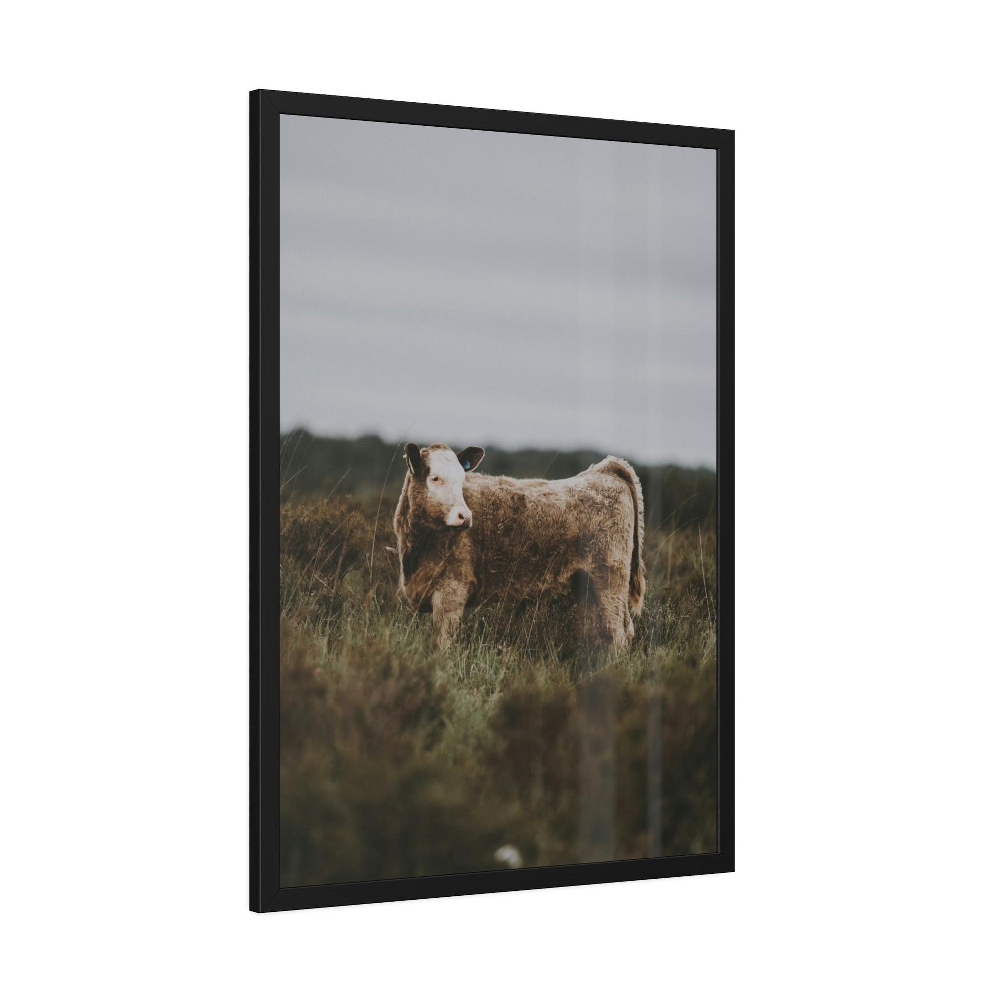 Cows Cow Portrait: Wall Art Poster & Canvas of a Beautiful Bovine
