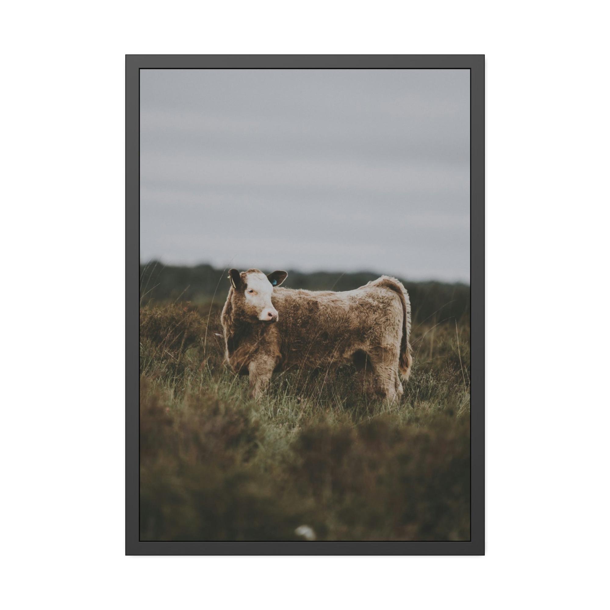 Cows Cow Portrait: Wall Art Poster & Canvas of a Beautiful Bovine