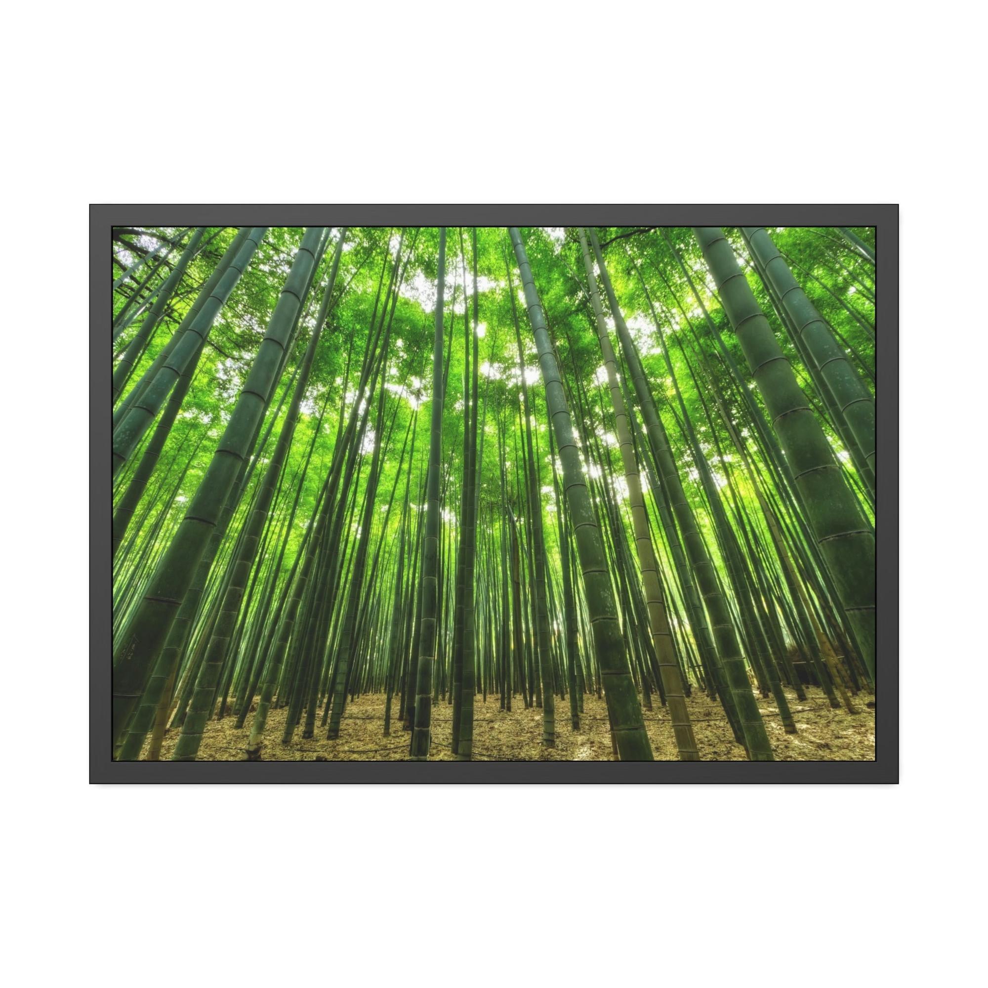 Trees Enchanted Forest: Framed Canvas Wall Art of Trees
