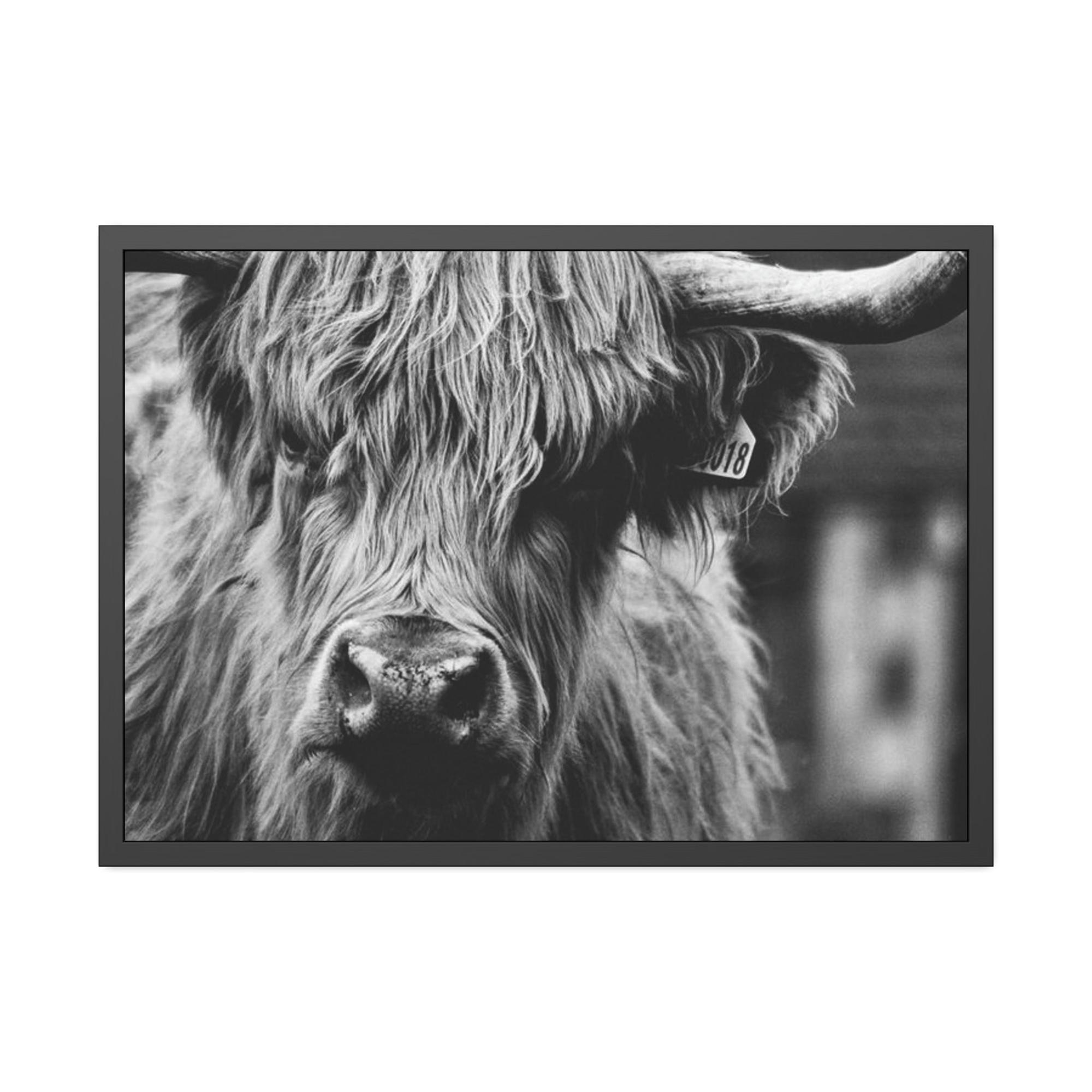 Highland Cow Rustic Highland Cow: Vintage Wall Art