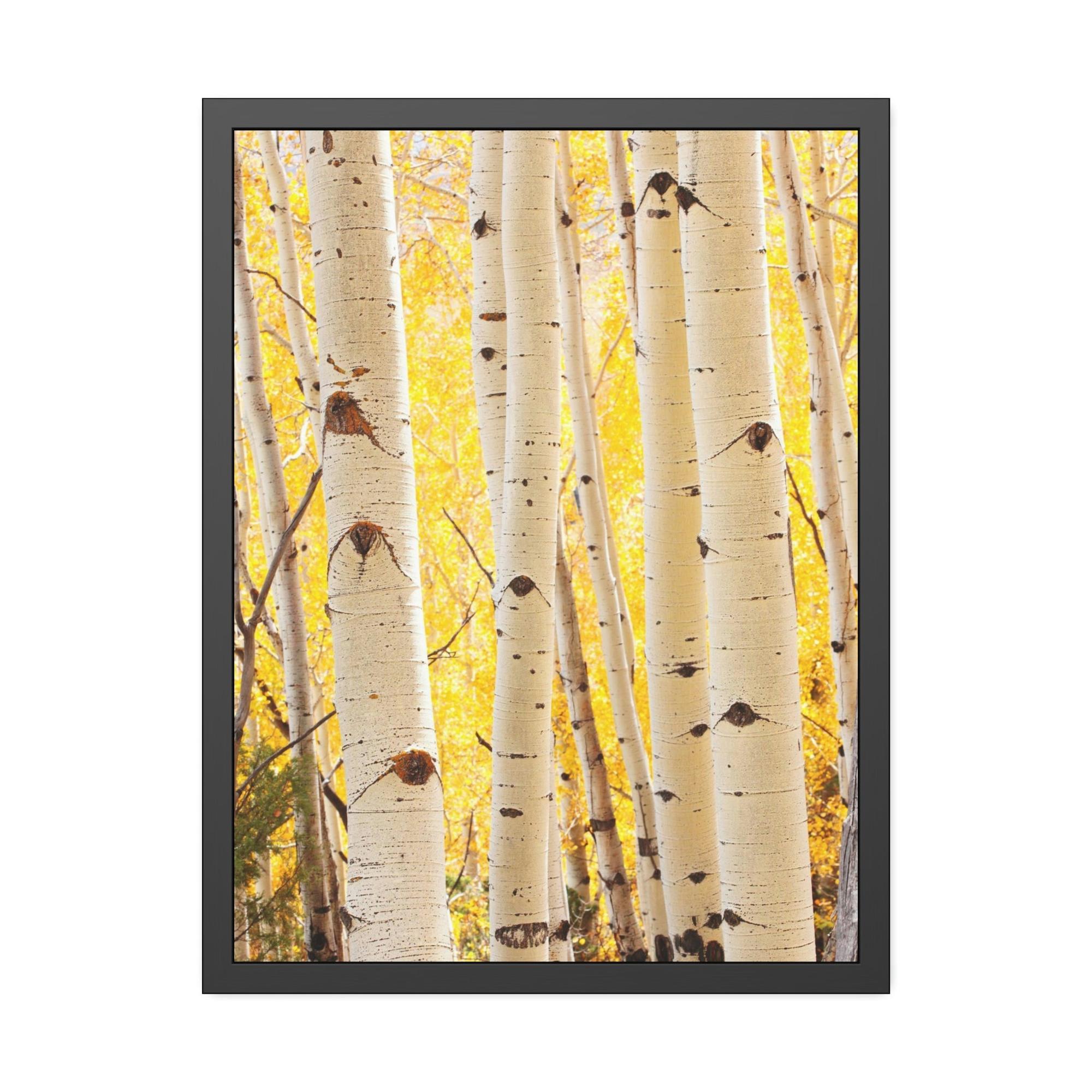 undefined Birch Tree Calm: Colorful Print on Canvas of a Tranquil Forest